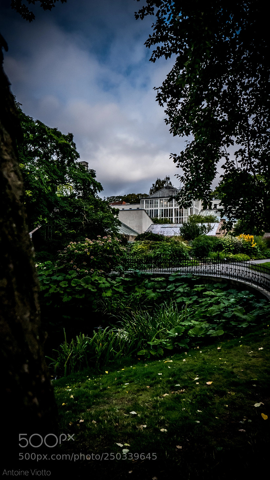 Leica D-Lux (Typ 109) sample photo. Oslo - botanical garden photography