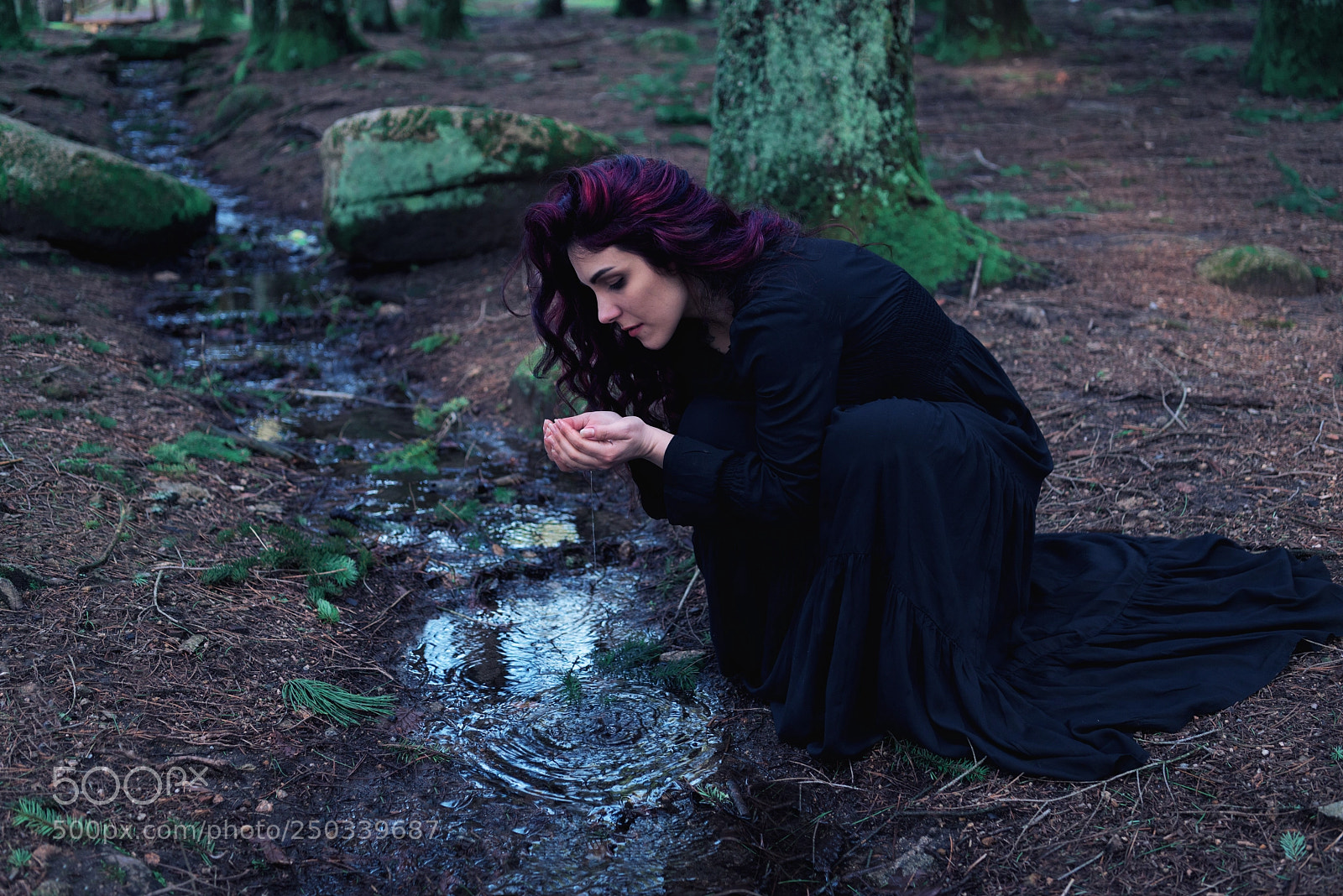 Nikon D800E sample photo. Untitled photography