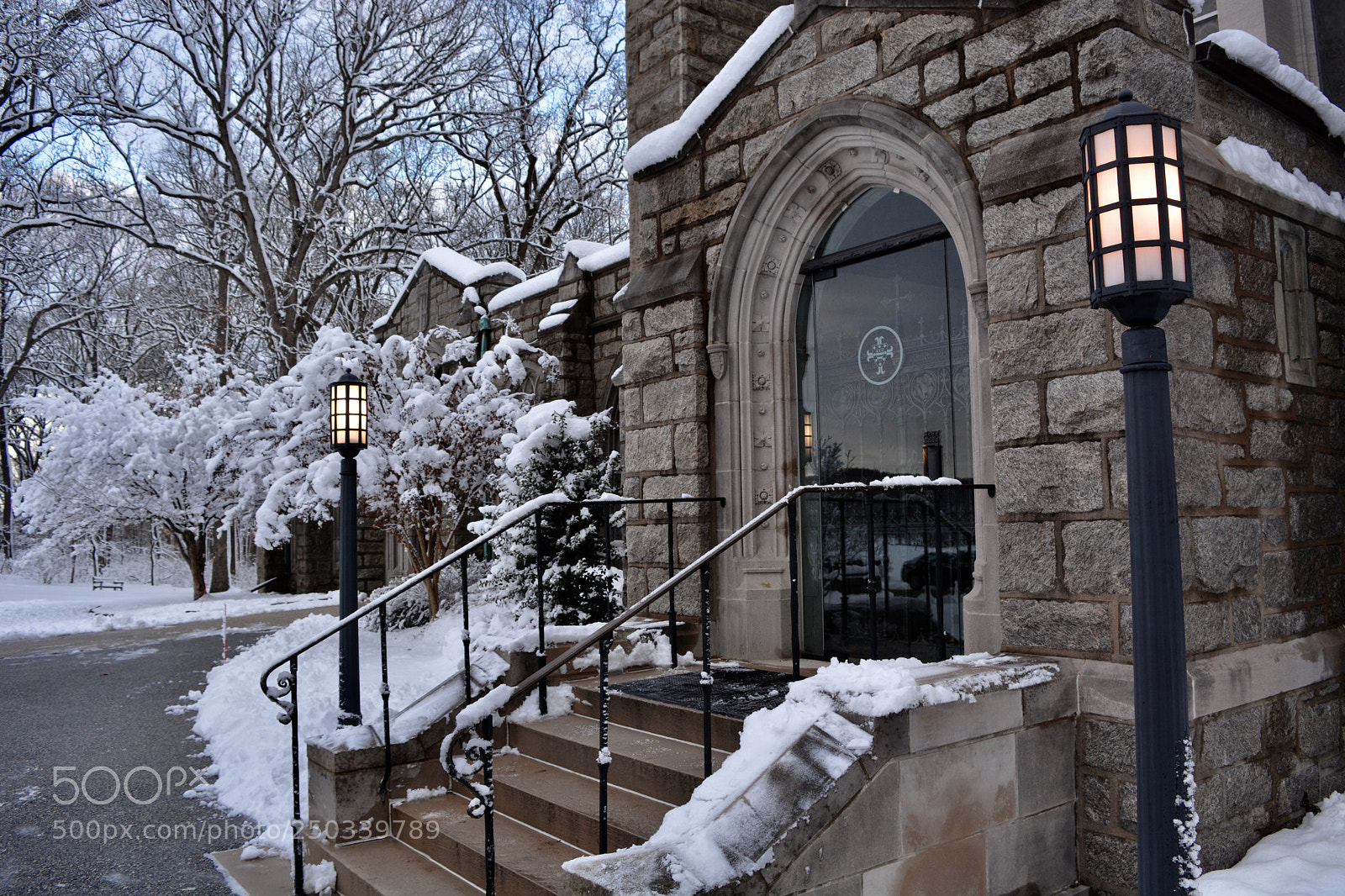 Nikon D7100 sample photo. Untitled photography