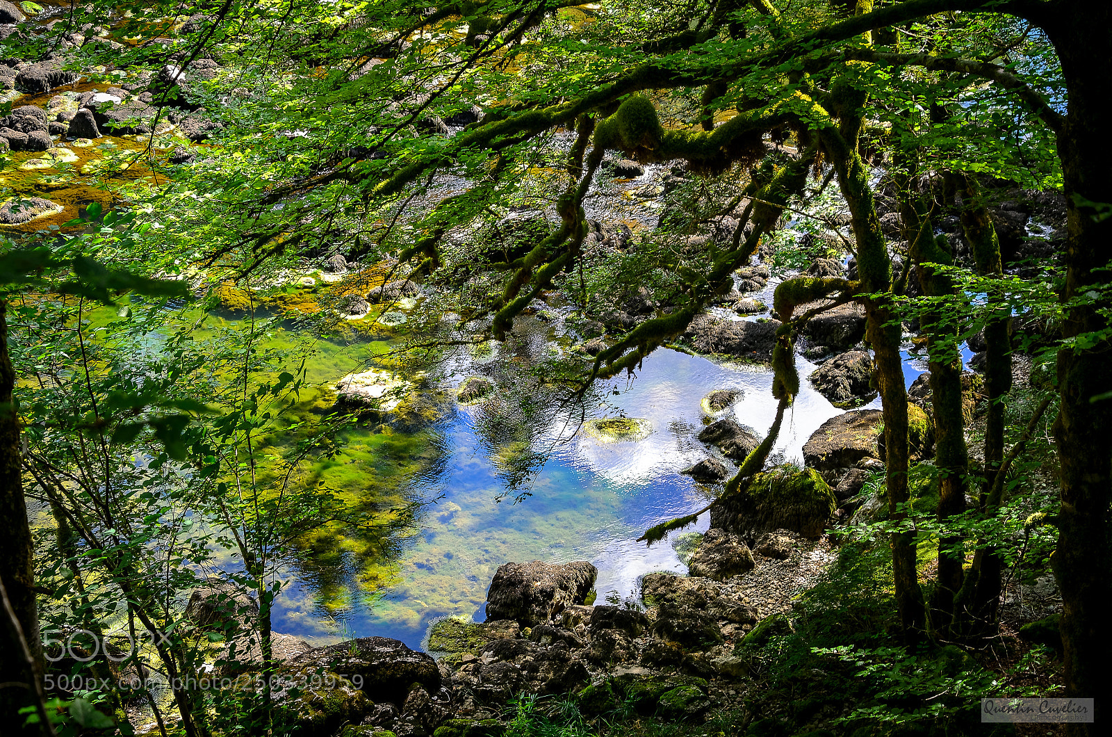 Nikon D7000 sample photo. Saut du doubs photography