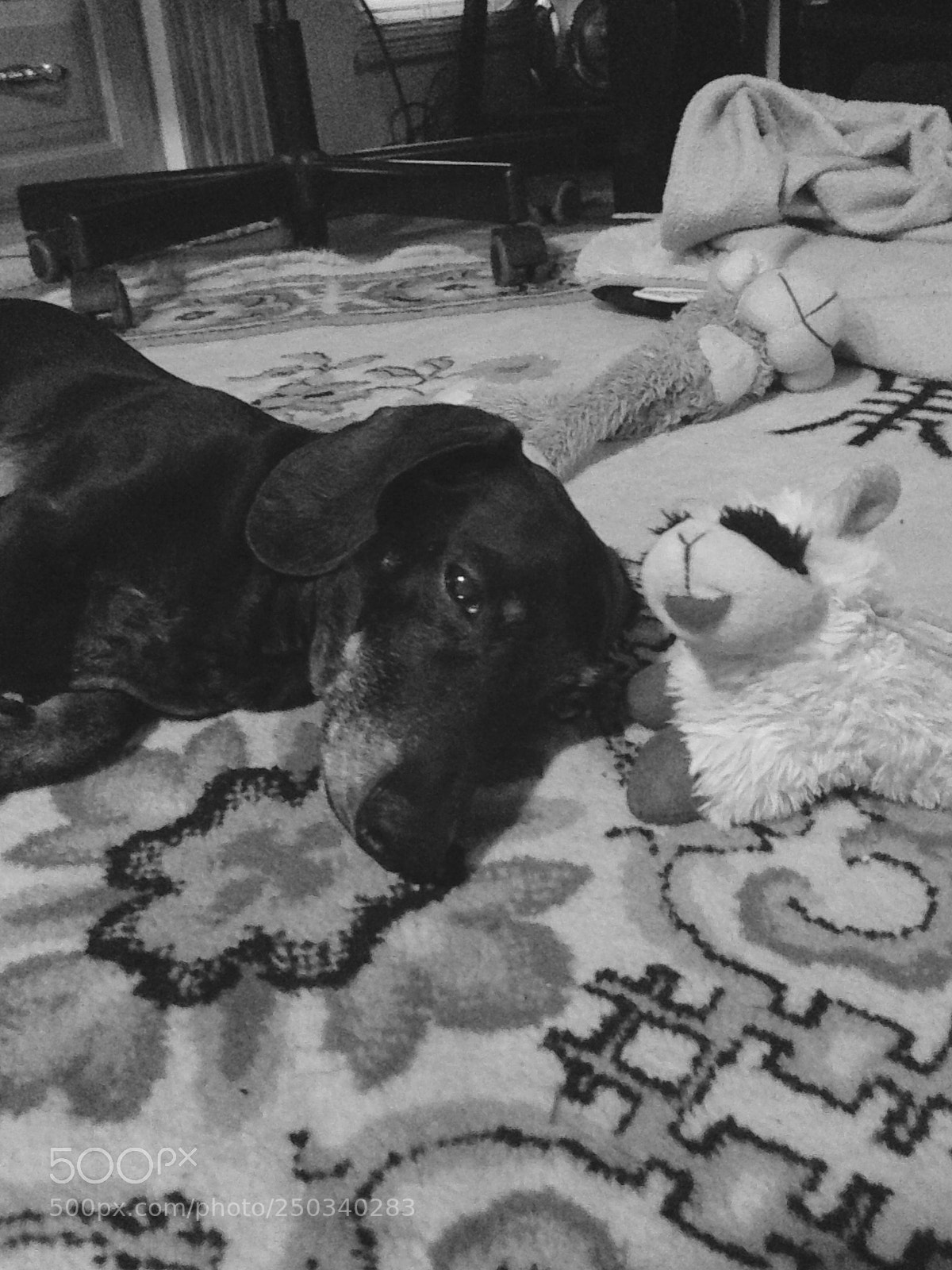 Apple iPhone 5 sample photo. Nap time photography