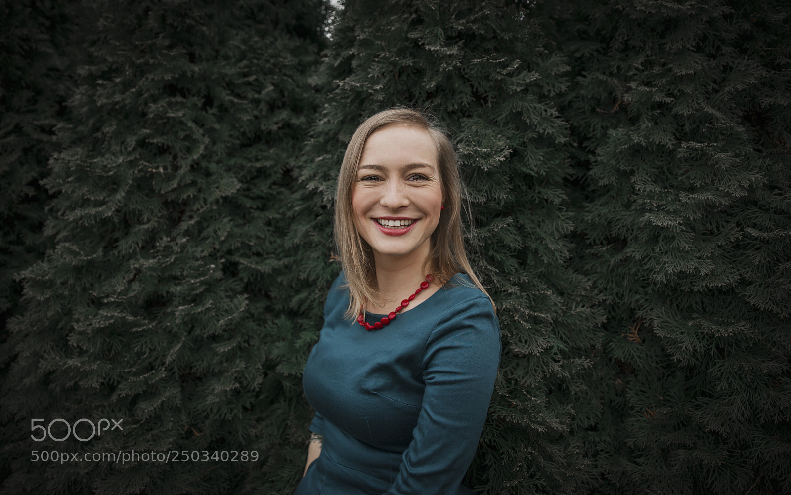 Nikon D610 sample photo. Untitled photography