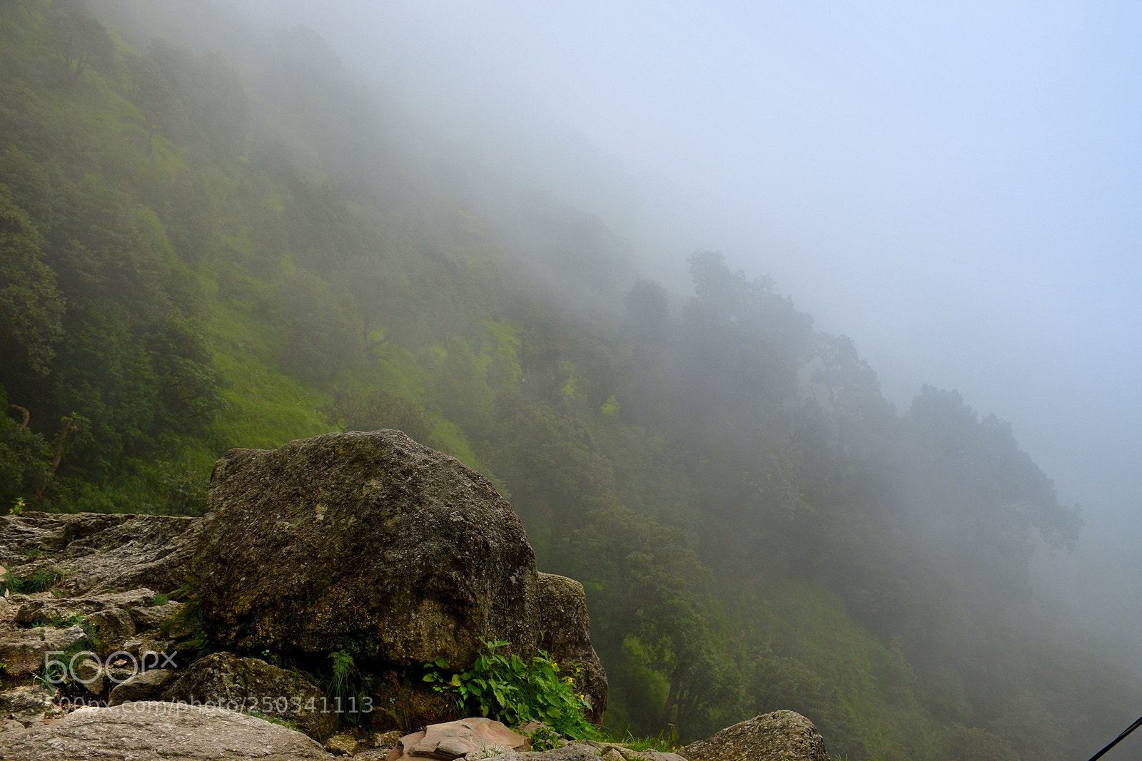 Nikon D3300 sample photo. Foggy photography