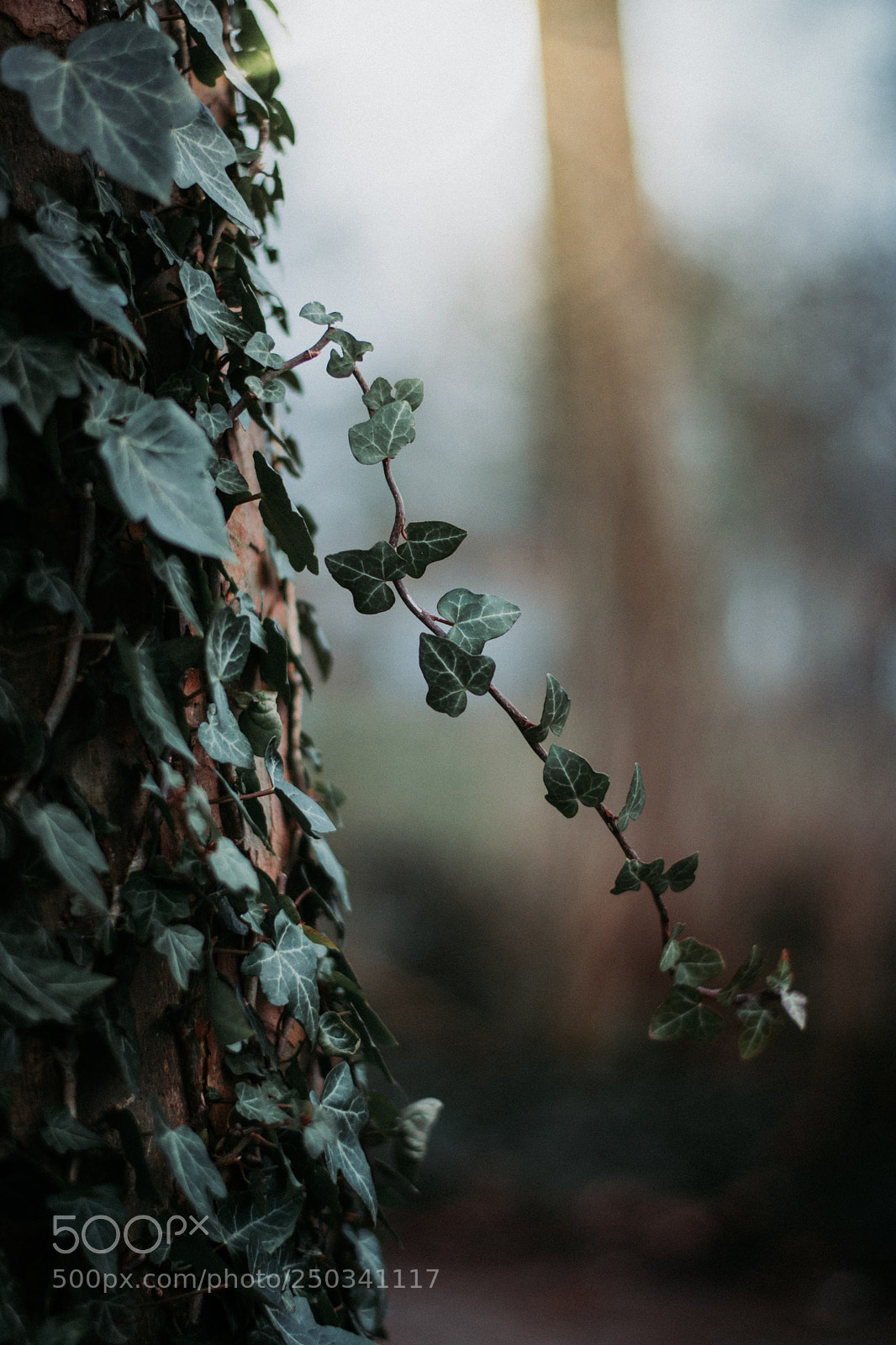 Nikon D3400 sample photo. Amazing world photography