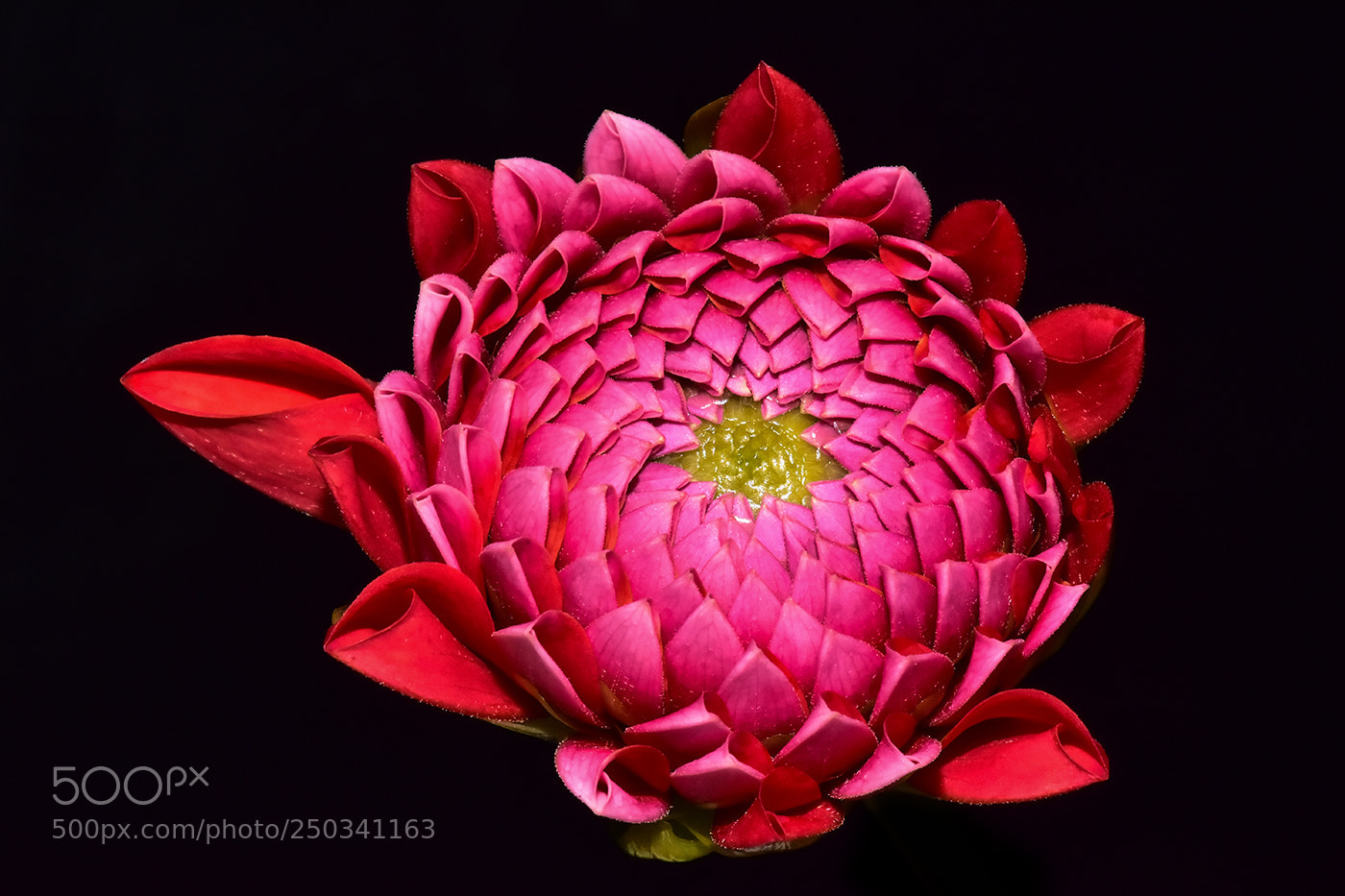 Nikon D7200 sample photo. 23.03.2018 - 4 photography