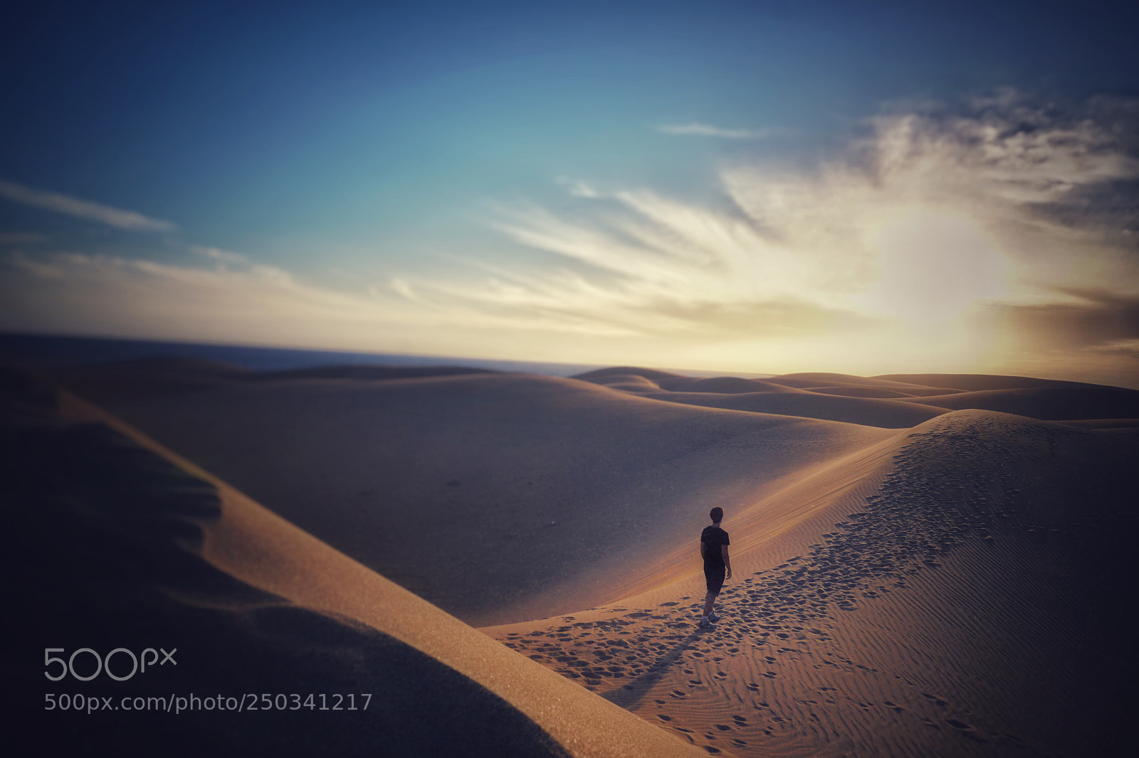 Sony a6300 sample photo. Alone in the desert photography