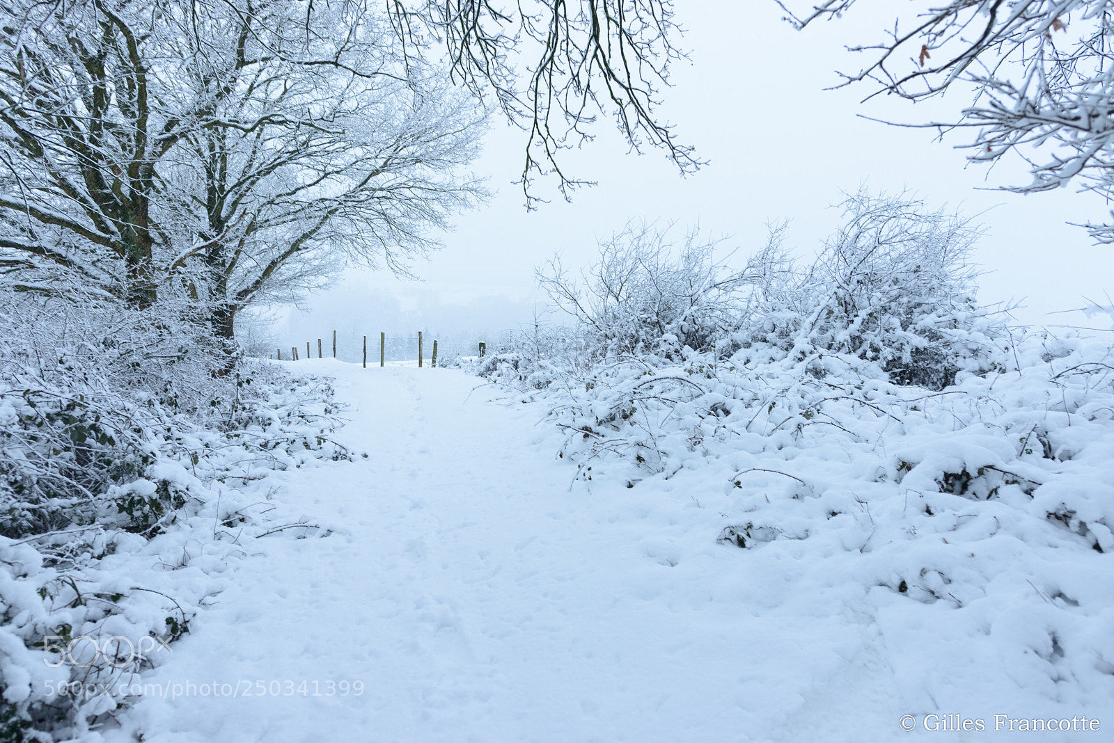 Nikon D800 sample photo. Track in the snow photography