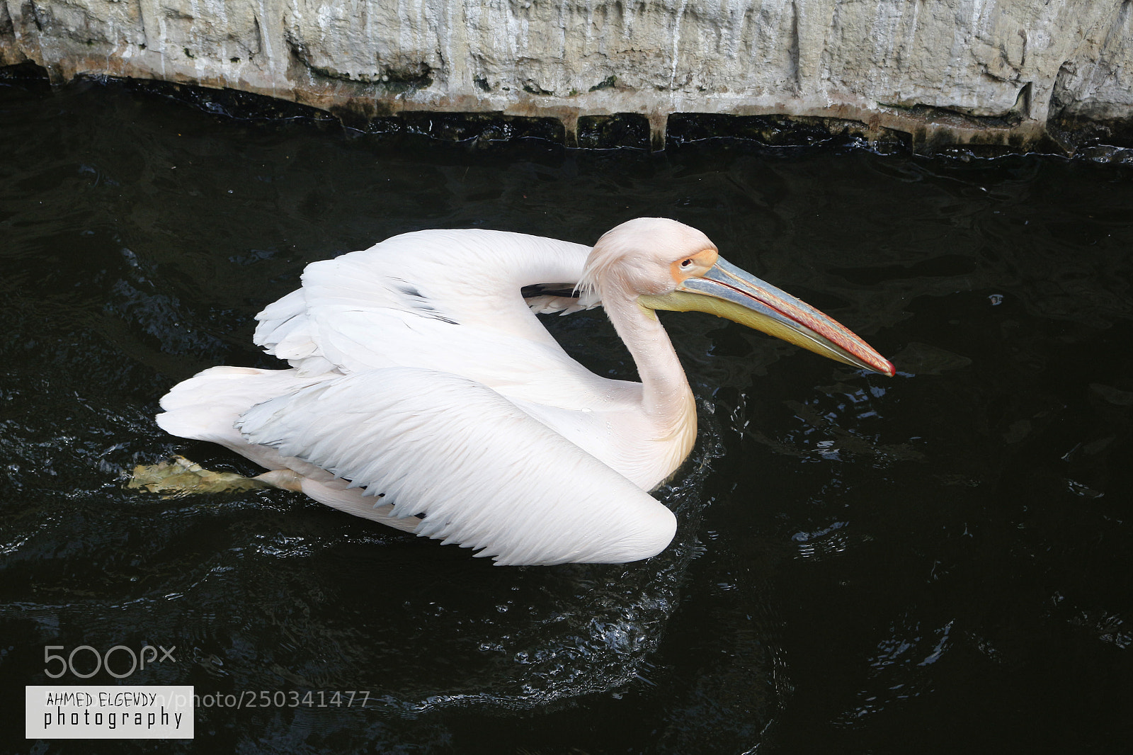 Canon EOS 700D (EOS Rebel T5i / EOS Kiss X7i) sample photo. Untitled photography