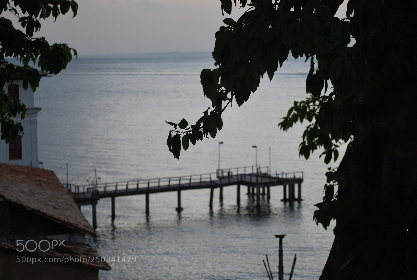 Nikon D60 sample photo. Untitled photography