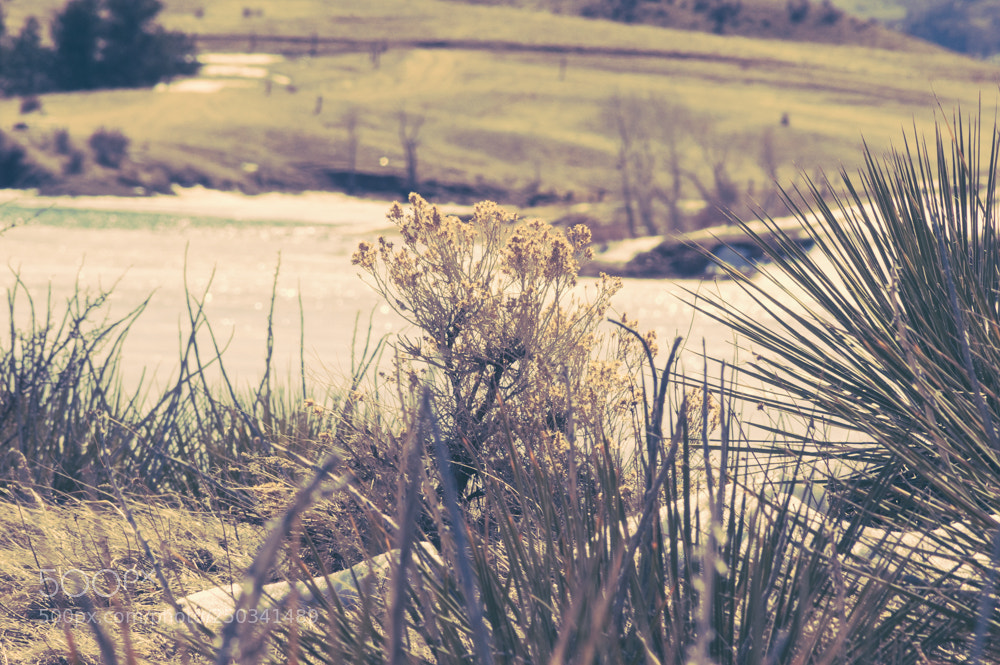 Nikon D3200 sample photo. Untitled photography