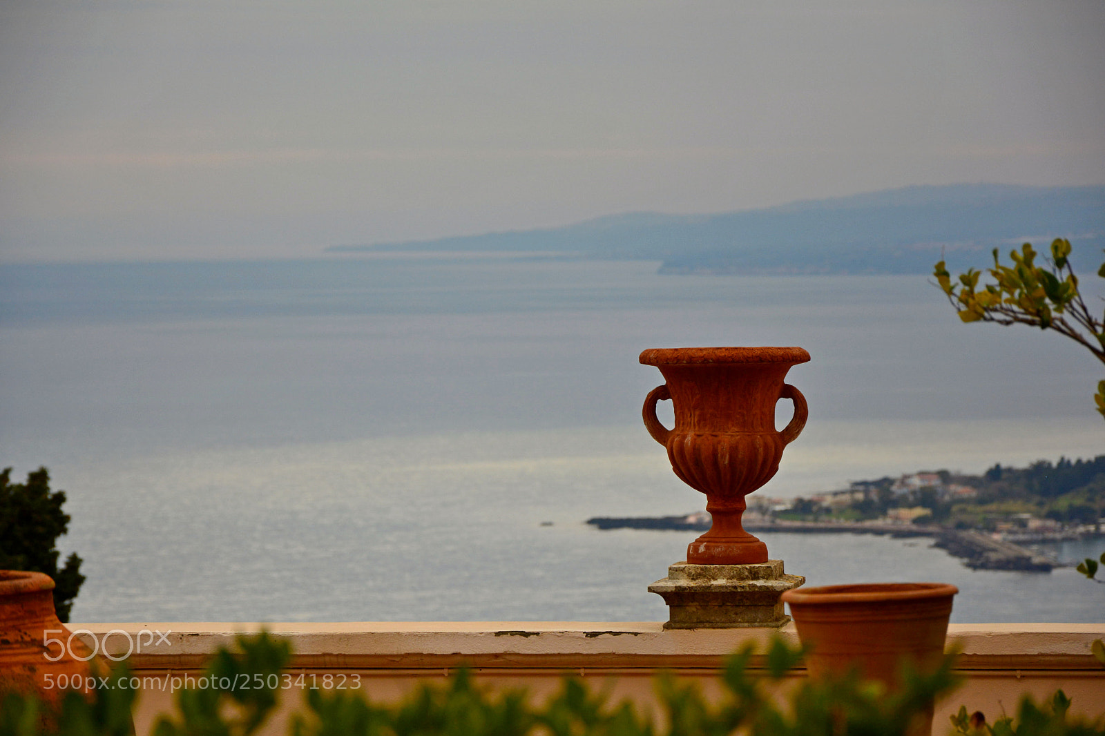 Nikon D7100 sample photo. Vase photography