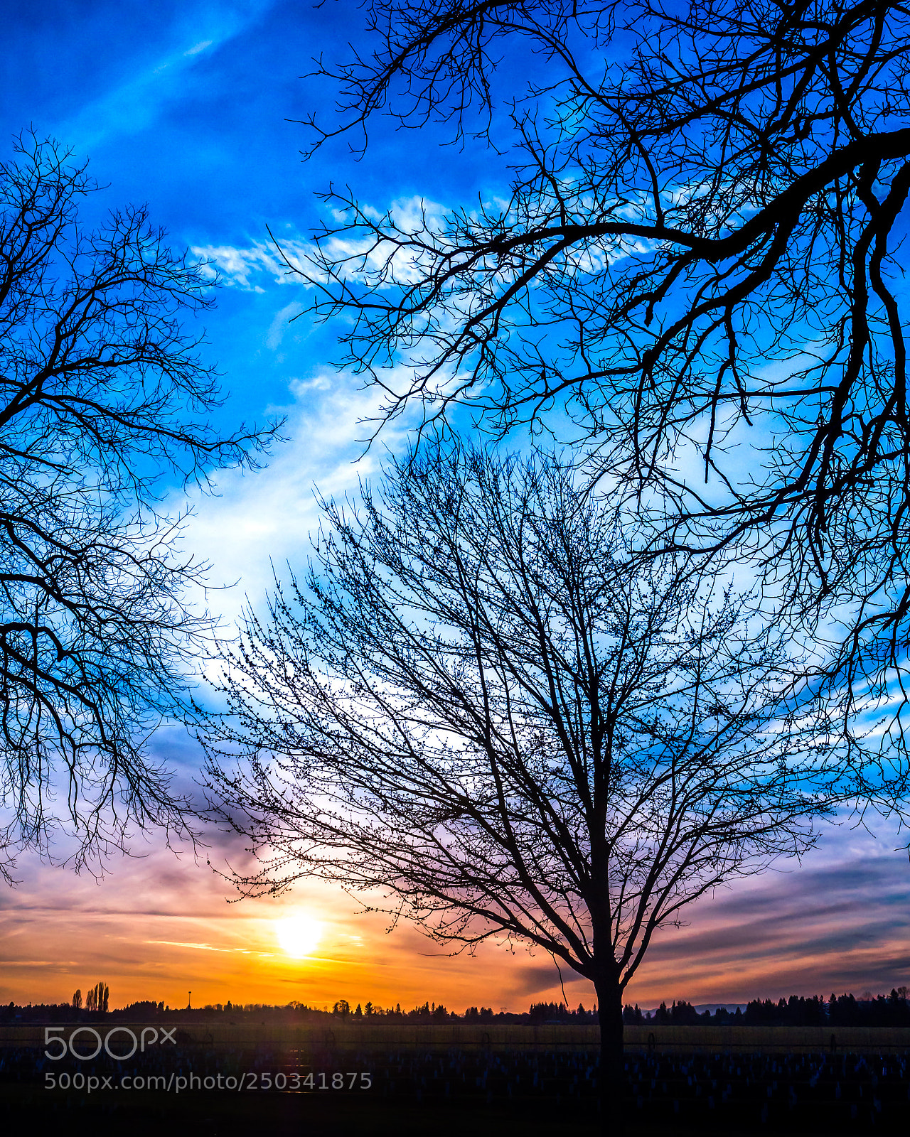 Panasonic Lumix DMC-GX8 sample photo. One last sunset before photography
