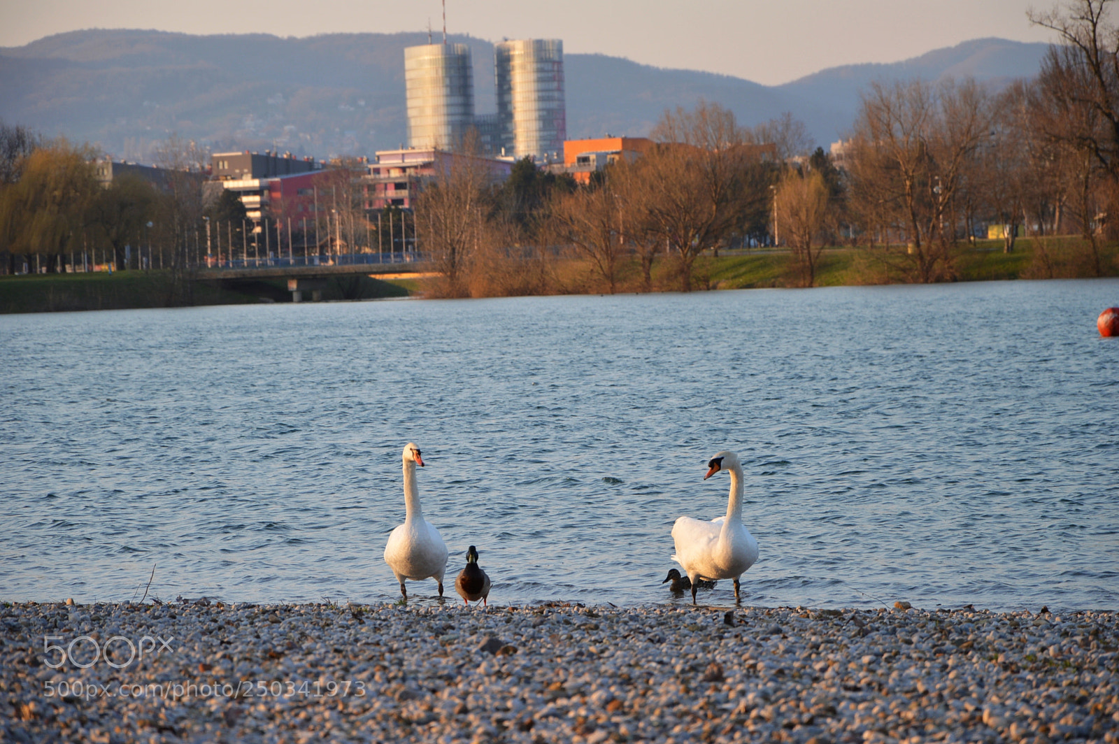 Nikon D3200 sample photo. The edge of town photography
