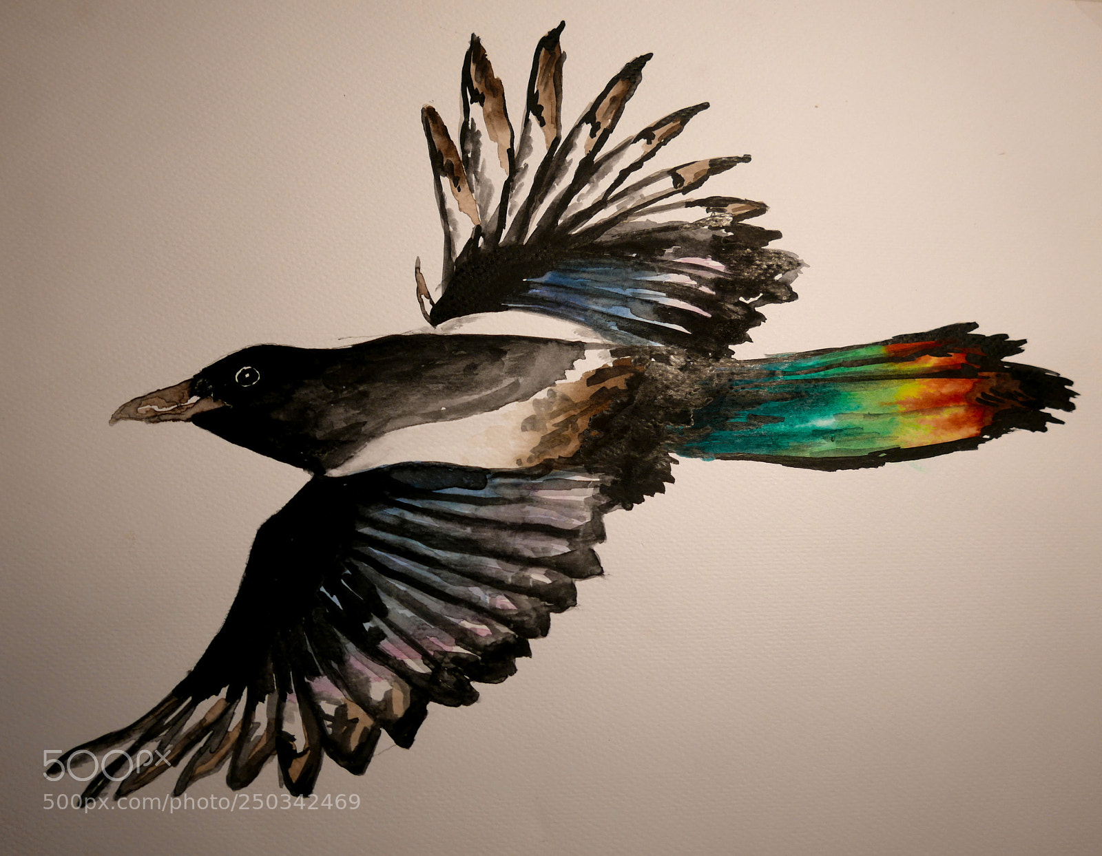 Leica D-Lux (Typ 109) sample photo. Pica pica (eurasian magpie) photography