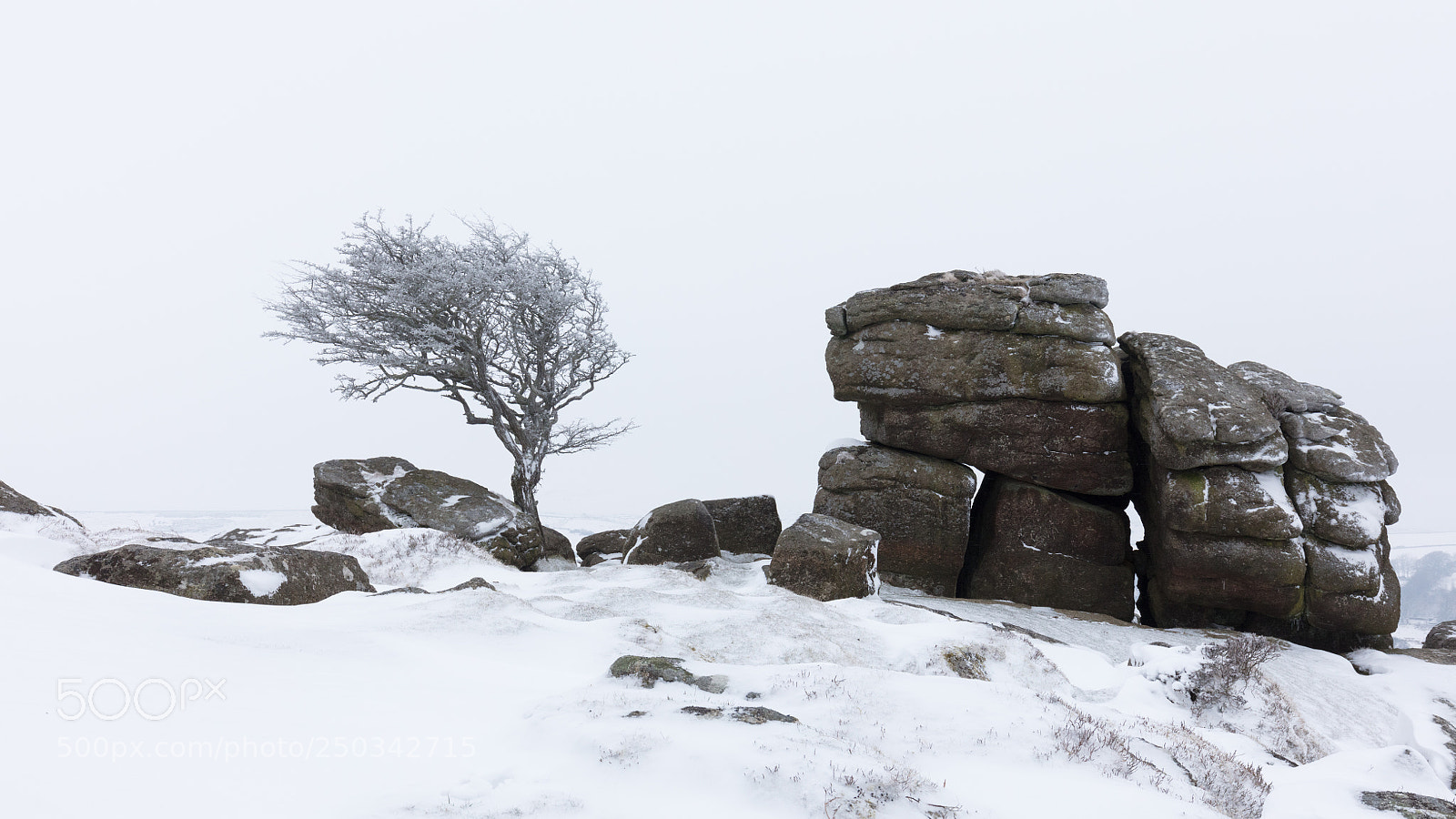 Canon EOS 5DS R sample photo. Emsworthy tor photography