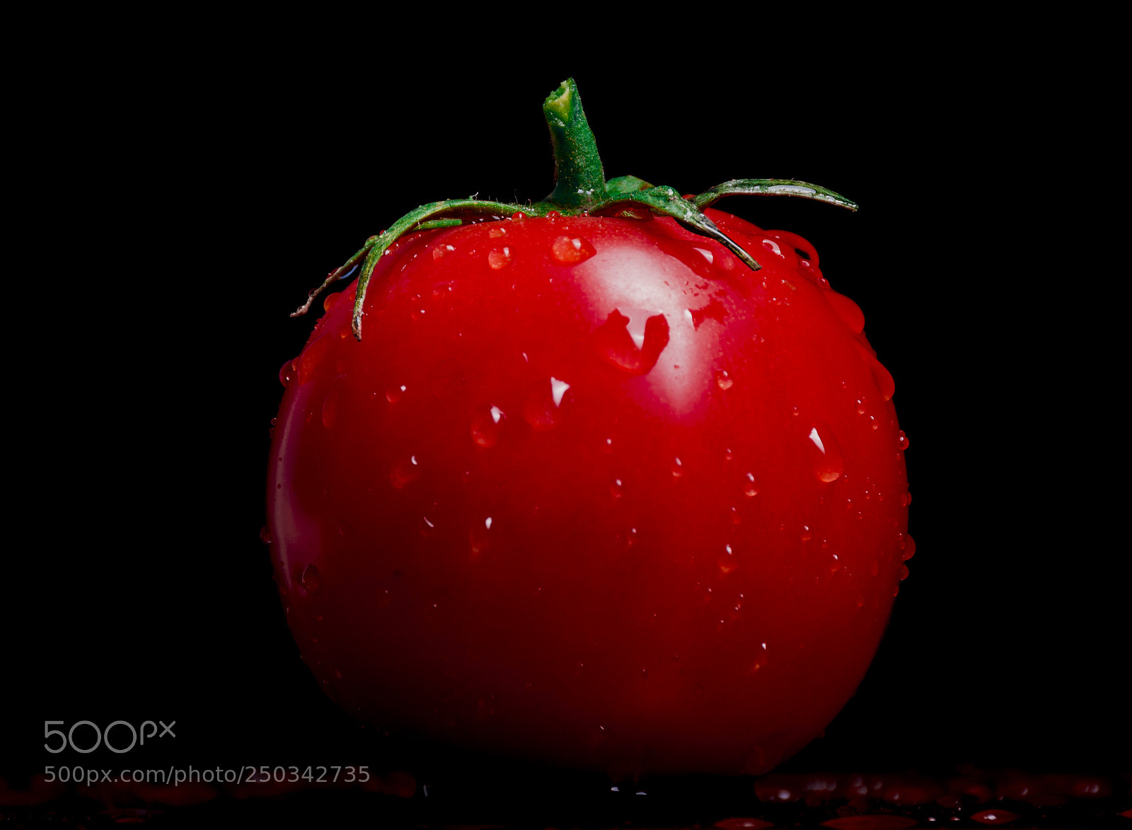 Nikon D7100 sample photo. Study of tomatoes photography