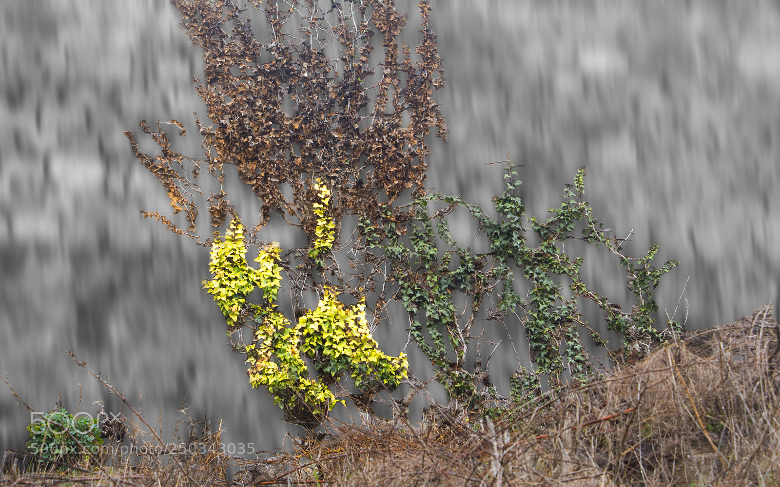 Canon EOS 700D (EOS Rebel T5i / EOS Kiss X7i) sample photo. Speed photography