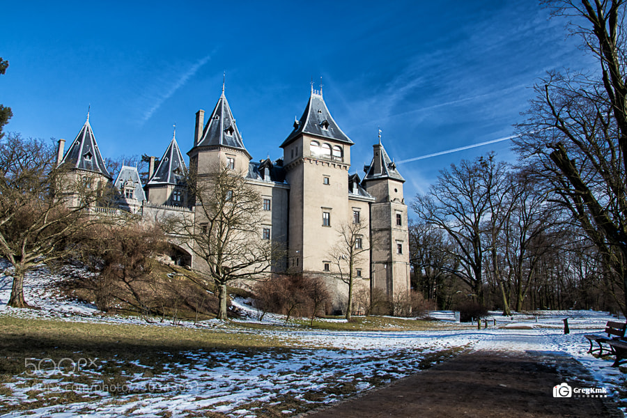 Canon EOS 80D sample photo. Frozen castle photography