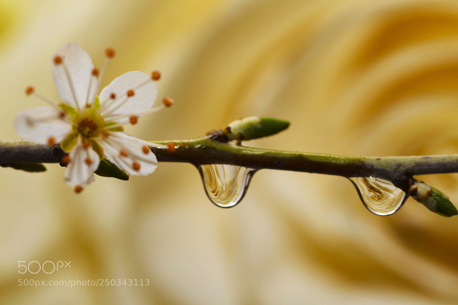 Nikon D7500 sample photo. 1934_1.jpg photography
