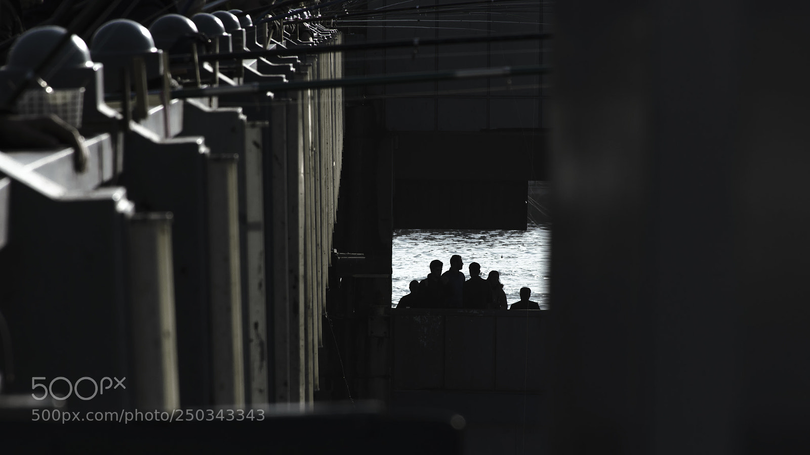 Nikon D7200 sample photo. Bridge photography