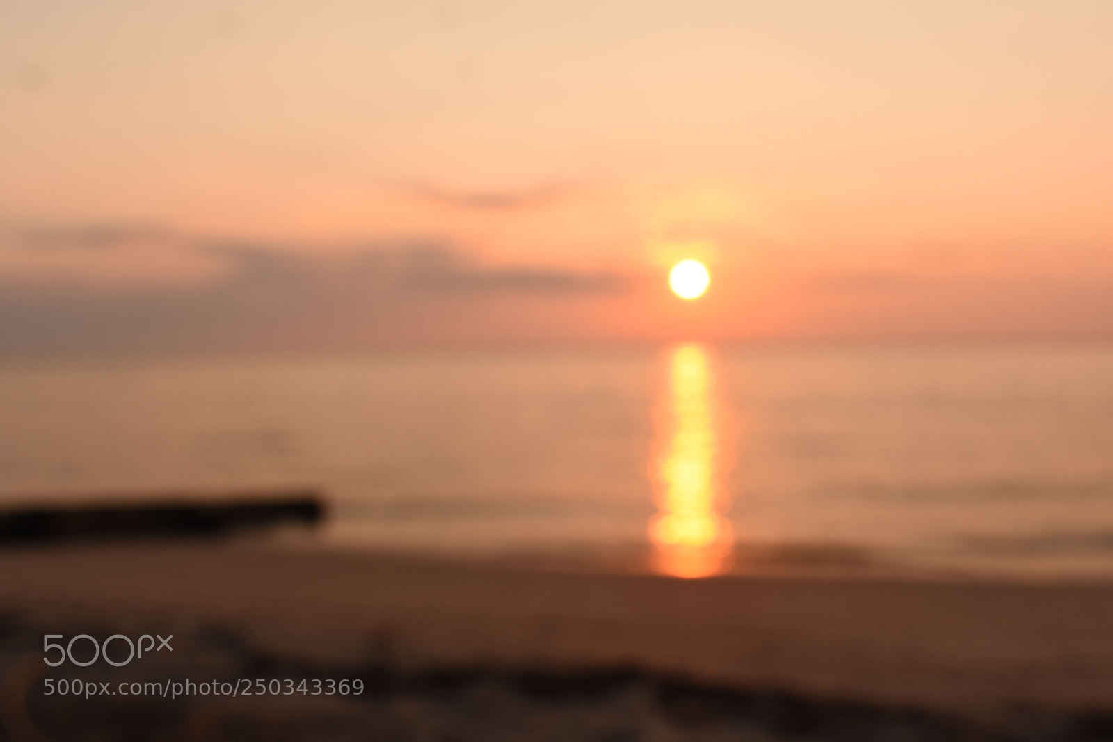 Nikon D3400 sample photo. I photography