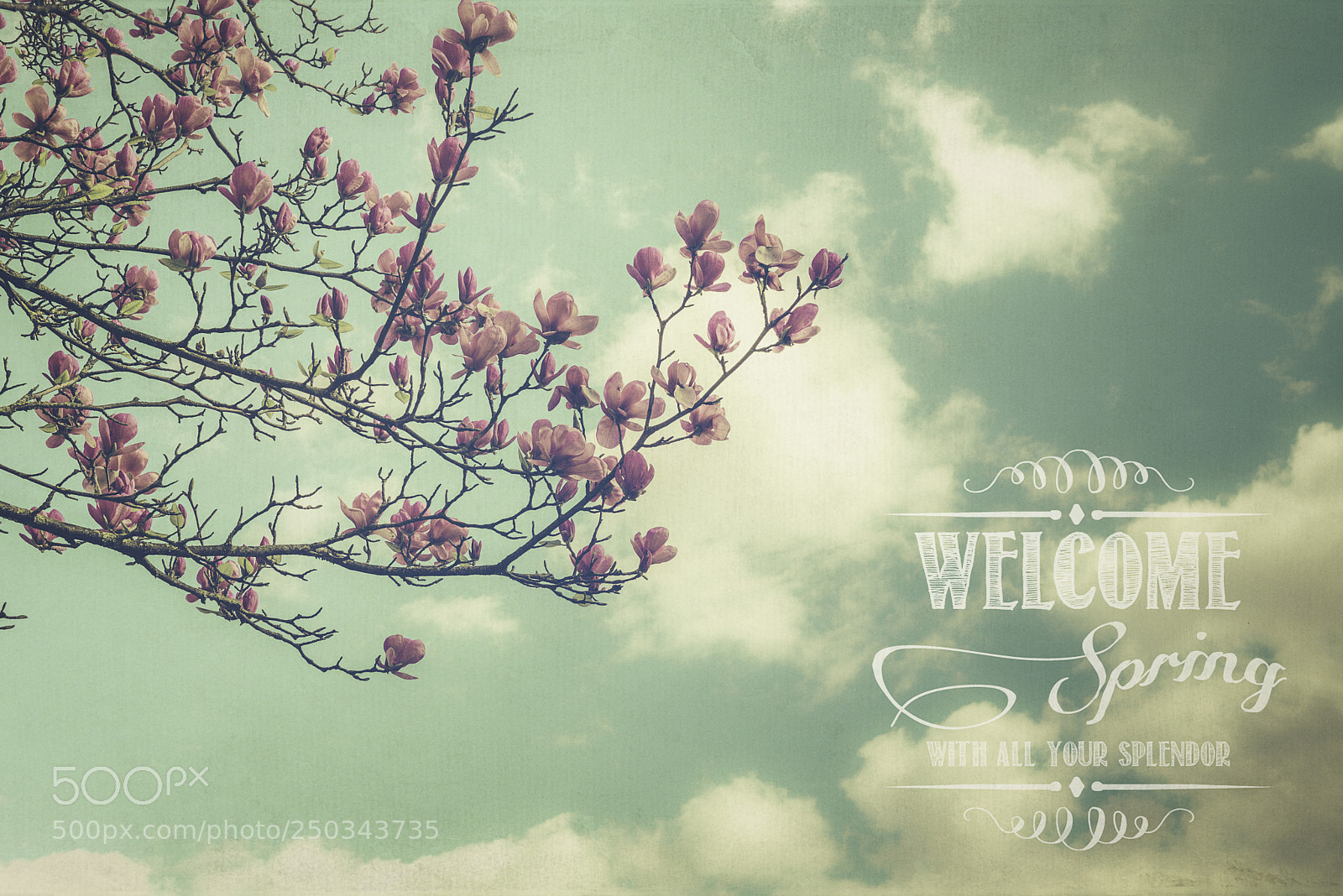 Nikon D600 sample photo. Welcome spring photography