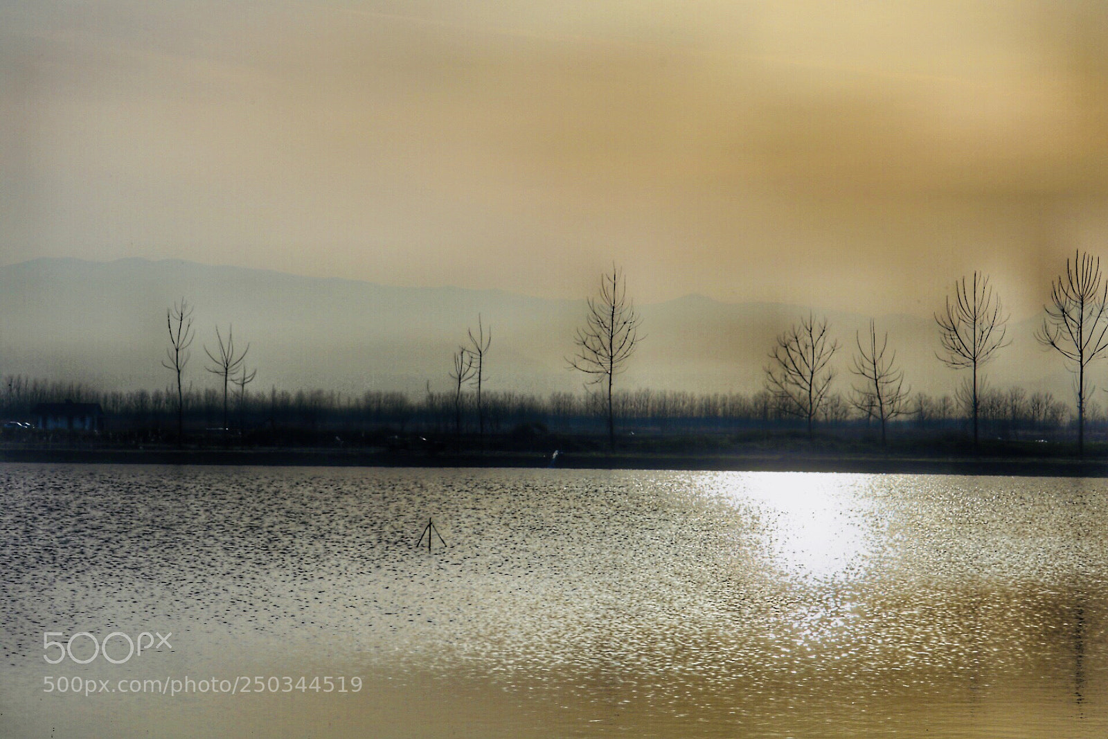 Canon EOS 750D (EOS Rebel T6i / EOS Kiss X8i) sample photo. Lakeside14 photography