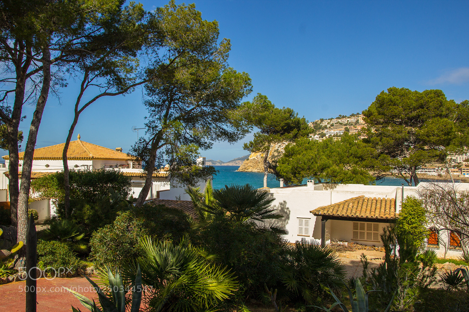 Canon EOS 1200D (EOS Rebel T5 / EOS Kiss X70 / EOS Hi) sample photo. Mallorca march 2018 photography