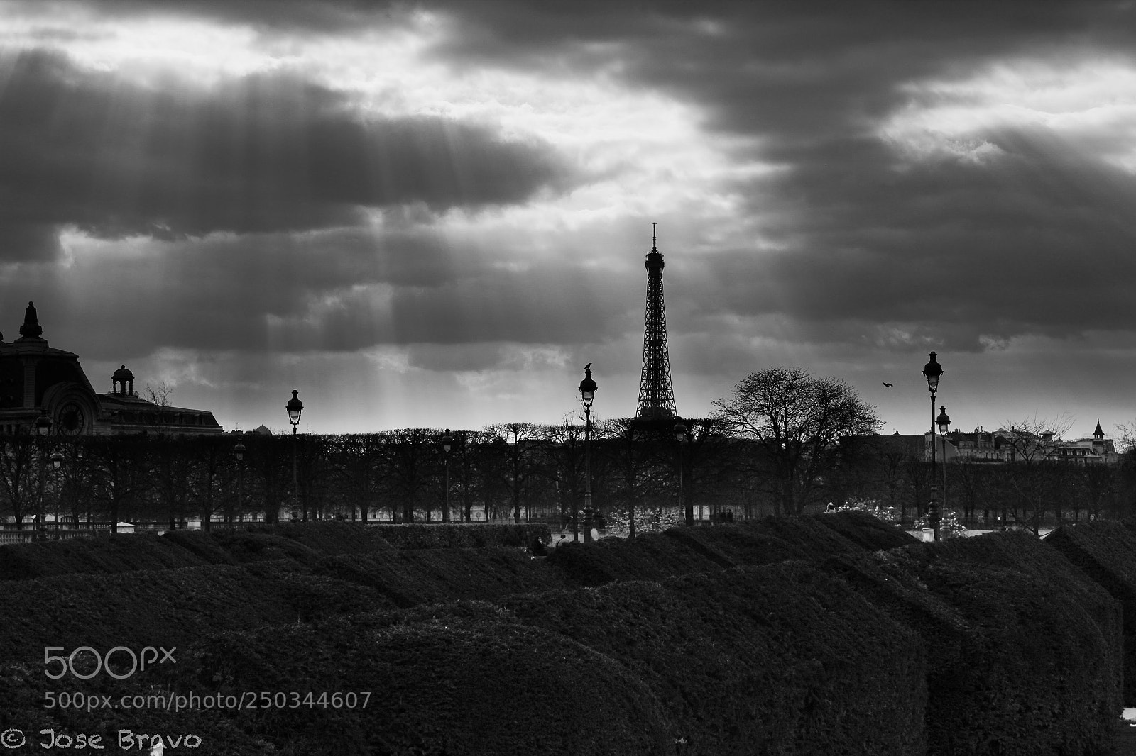 Canon EOS 550D (EOS Rebel T2i / EOS Kiss X4) sample photo. Paris photography