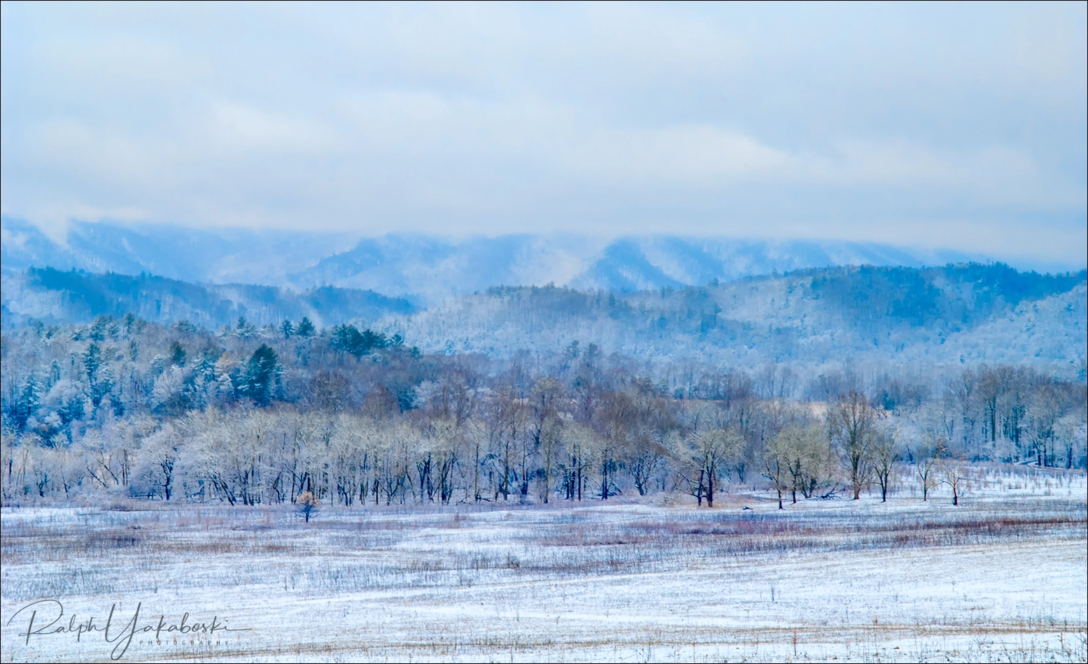 Nikon D2Xs sample photo. Cades cove snow storm photography