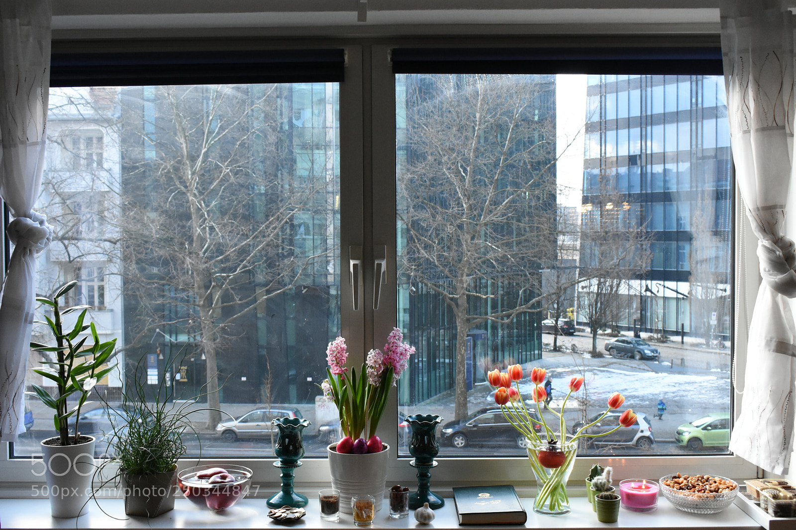Nikon D3400 sample photo. 7sin photography