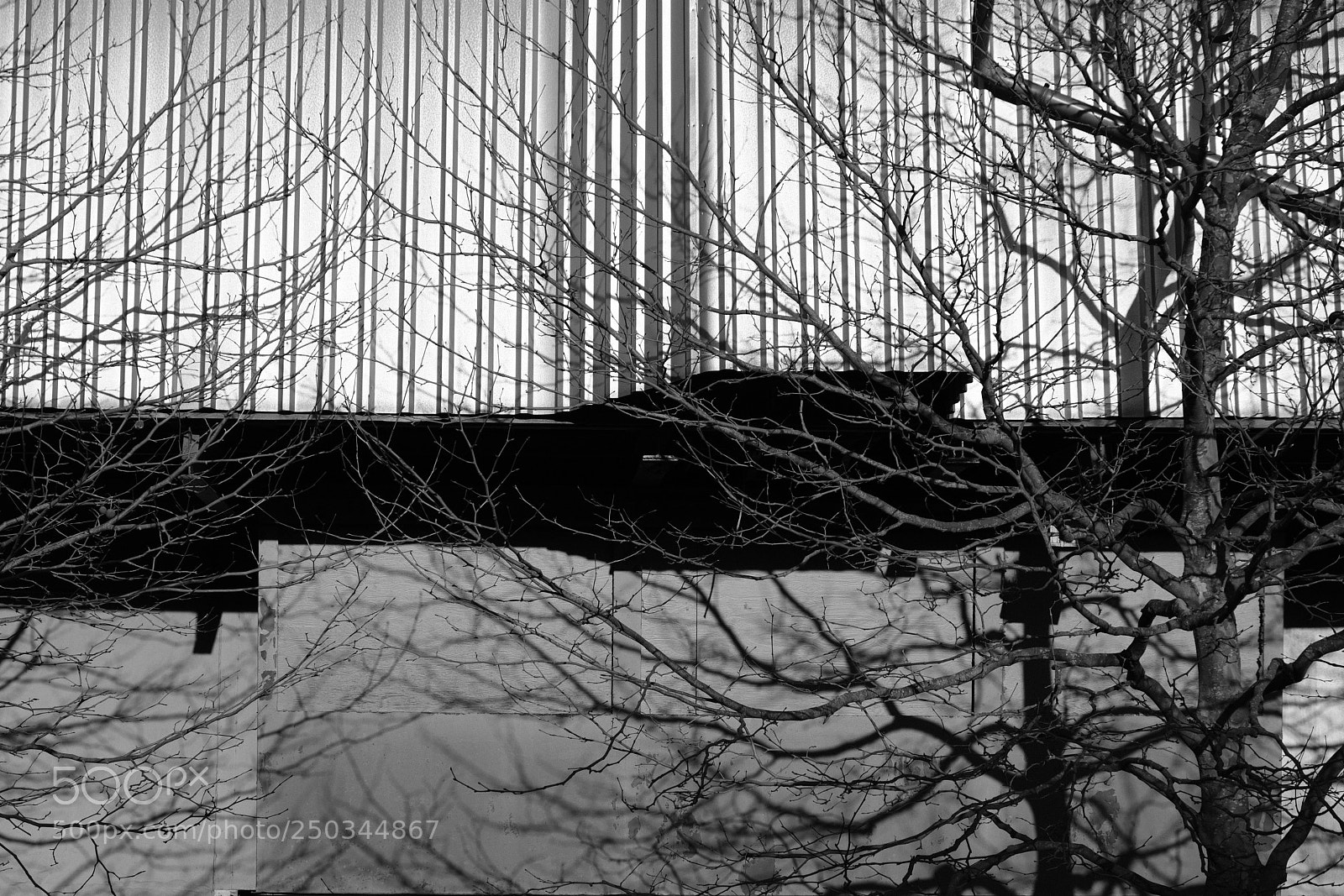 Fujifilm X-T20 sample photo. Structures photography