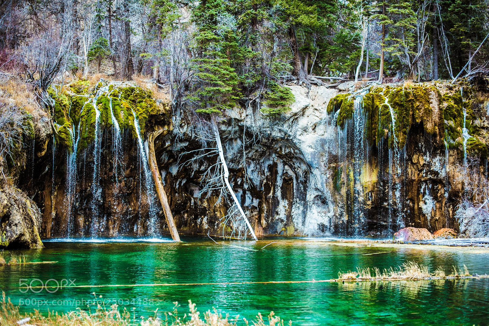 Nikon D610 sample photo. Paradise colorado photography