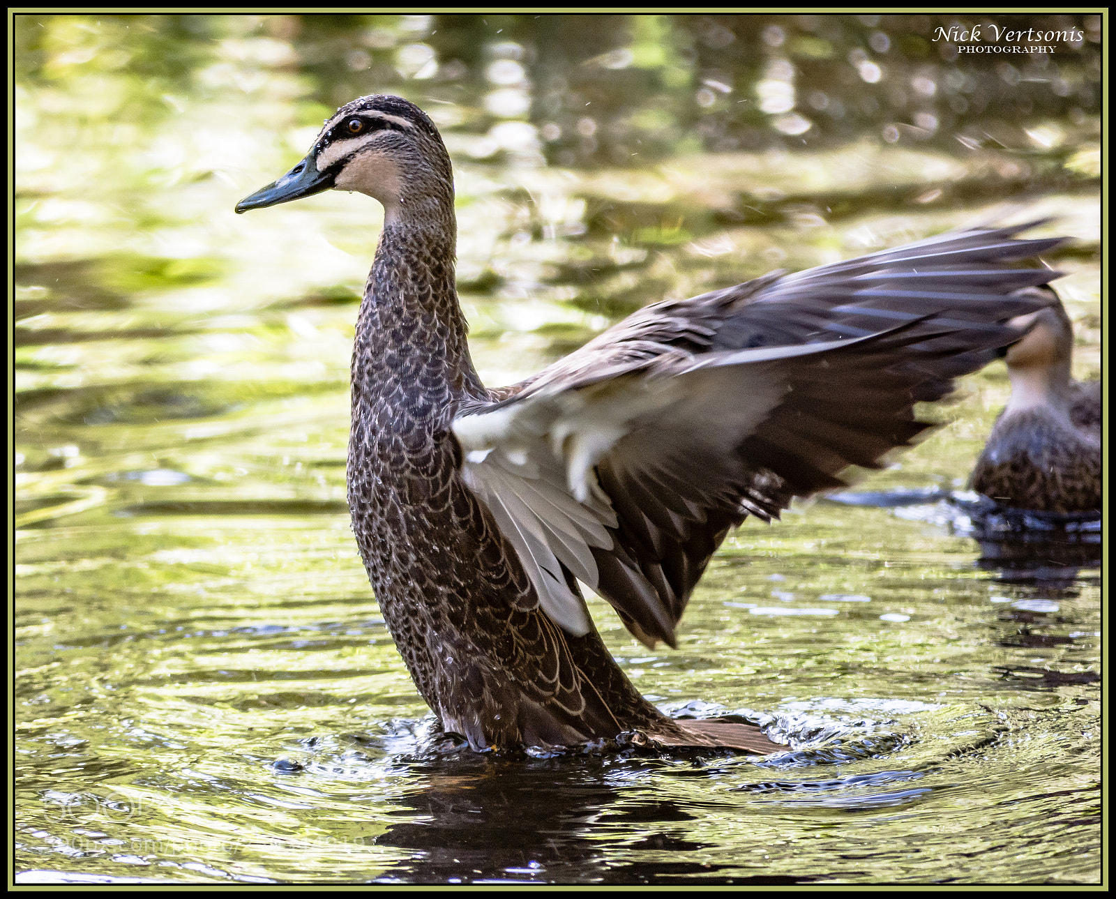Nikon D7200 sample photo. Aqua aerobics... photography