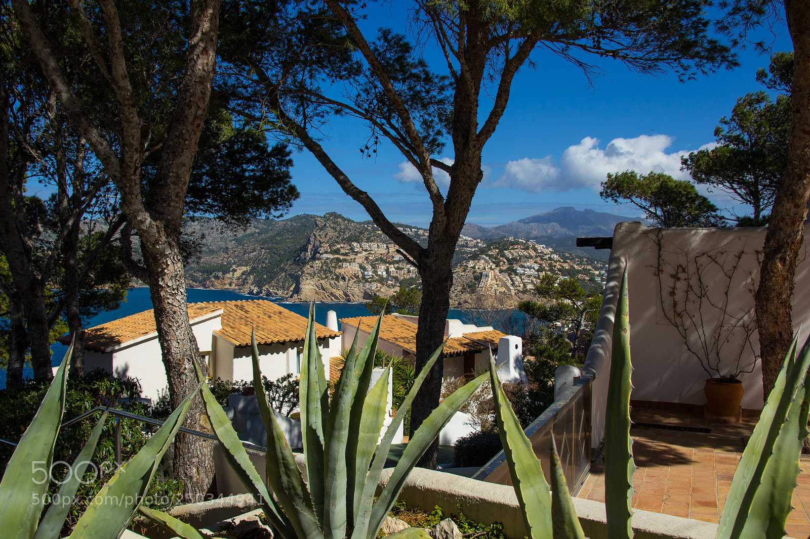 Canon EOS 1200D (EOS Rebel T5 / EOS Kiss X70 / EOS Hi) sample photo. Mallorca march 2018 photography