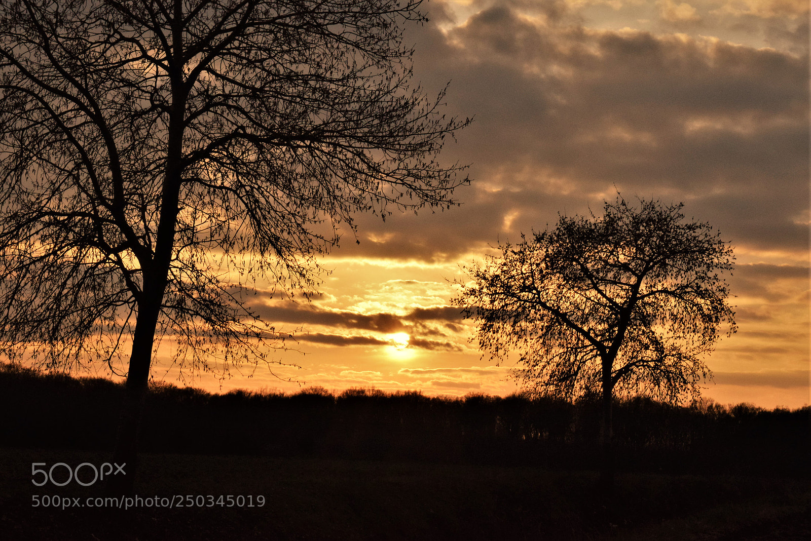 Nikon D3300 sample photo. Evening photography