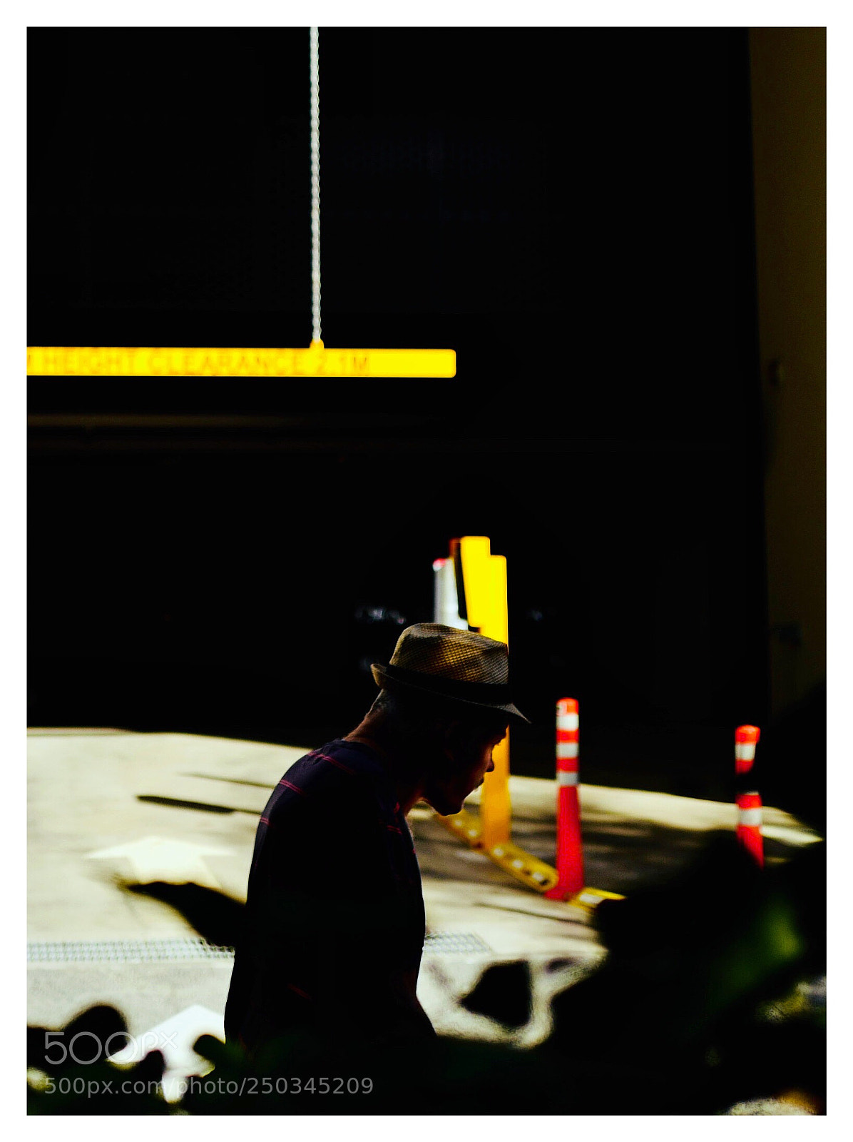 Leica Q (Typ 116) sample photo. My neighbour photography