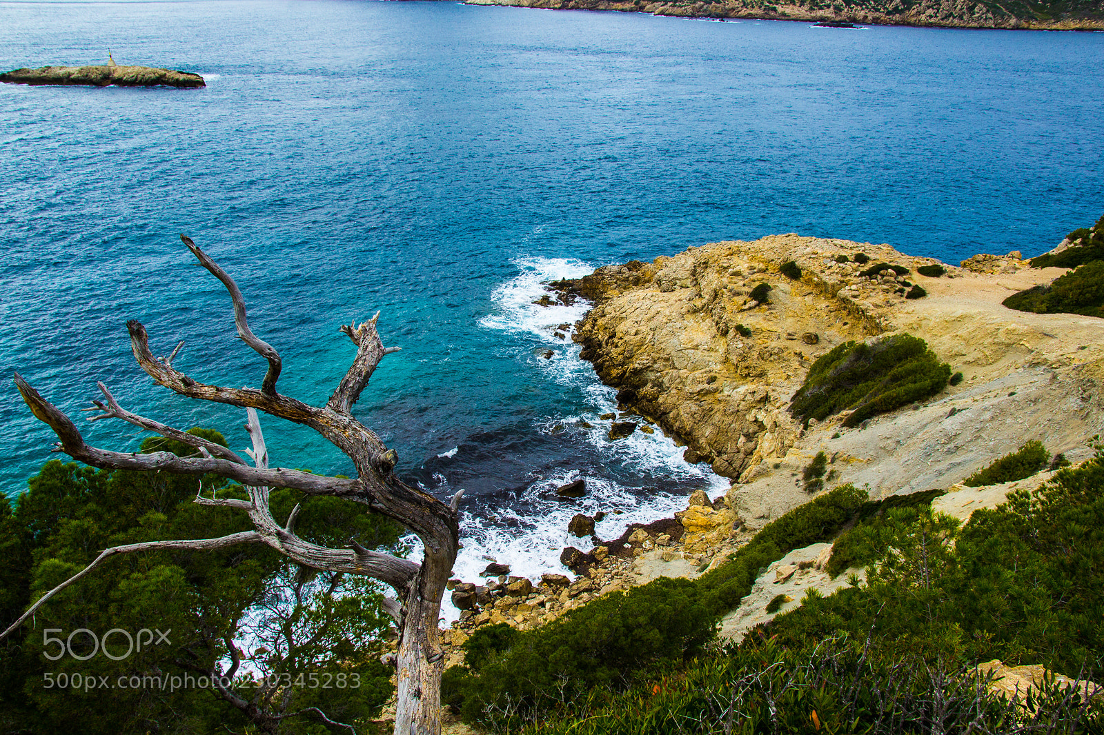 Canon EOS 1200D (EOS Rebel T5 / EOS Kiss X70 / EOS Hi) sample photo. Mallorca march 2018 photography