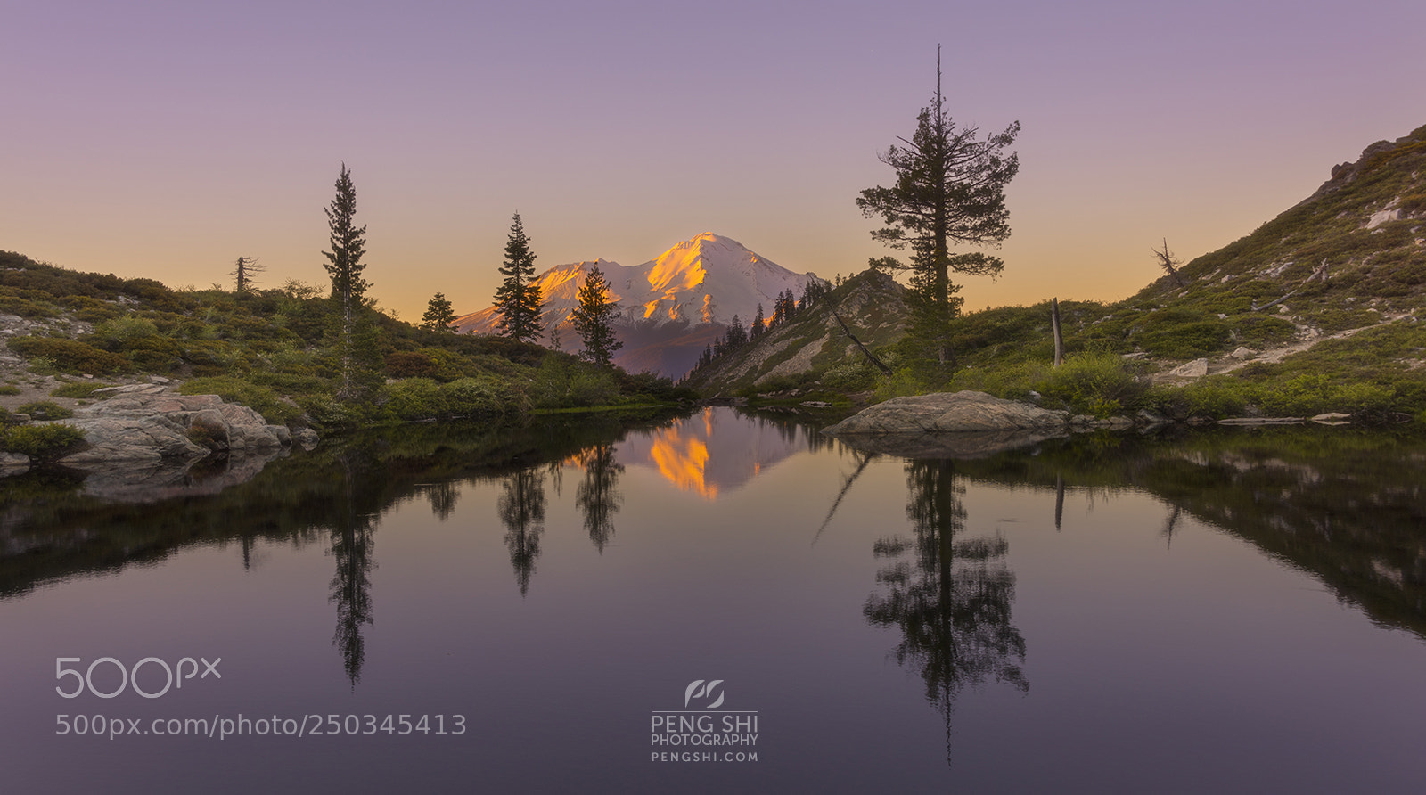Nikon D810 sample photo. Moment of reflection photography