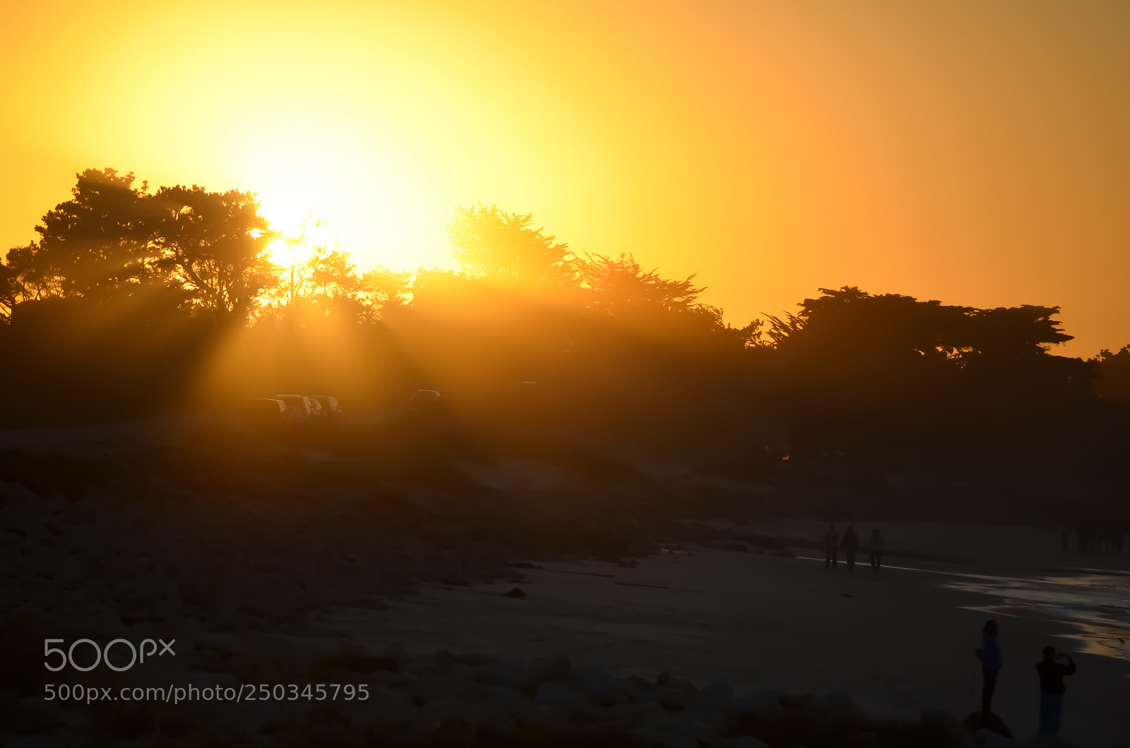 Nikon D5100 sample photo. Sunset near pacific coast photography