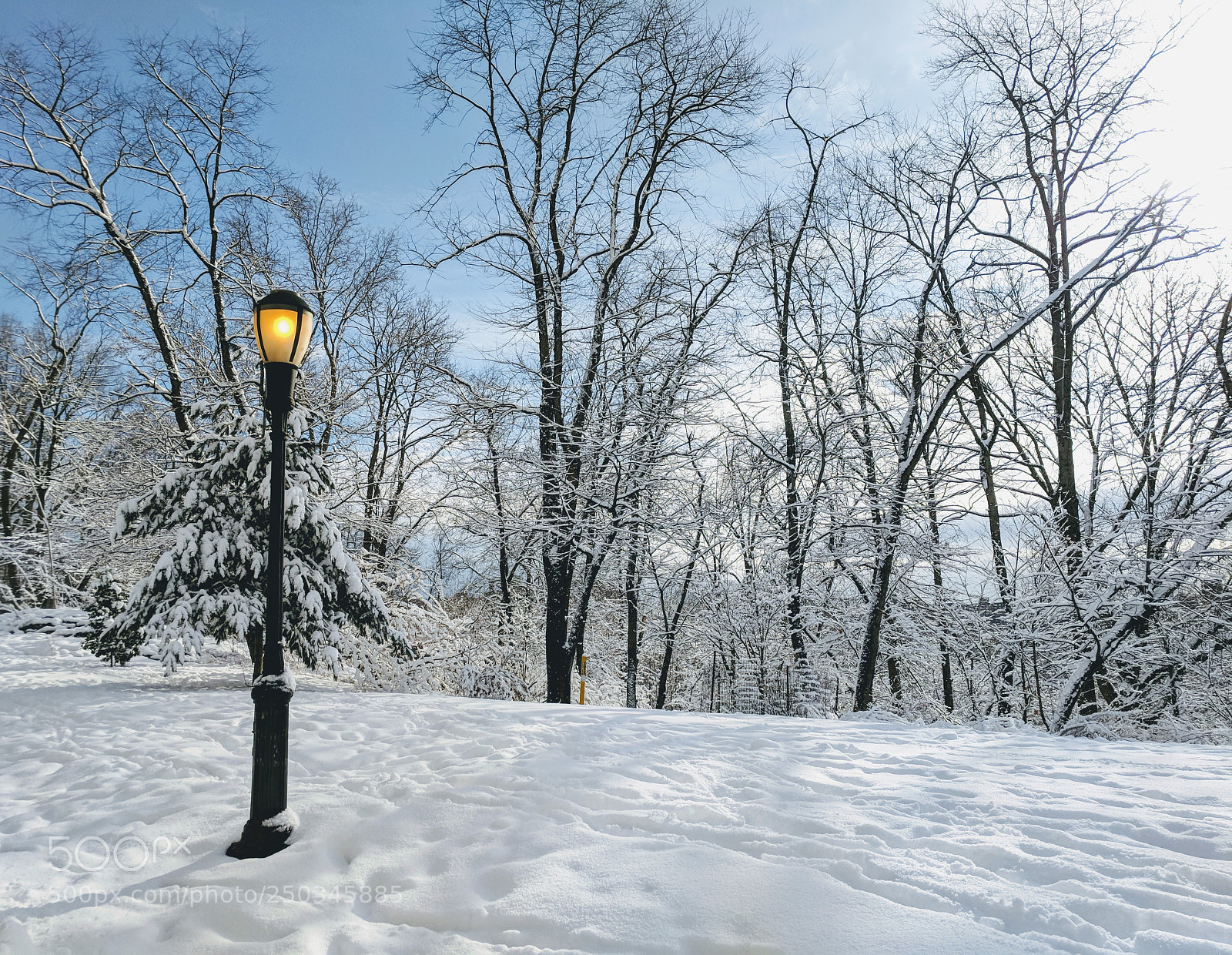 Google Pixel sample photo. Narnia in harlem photography