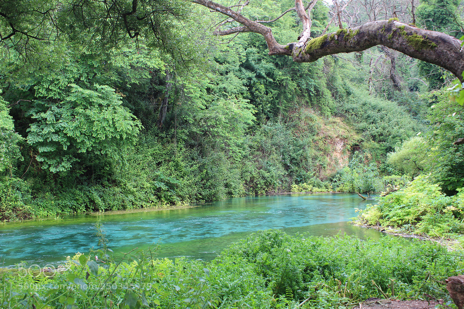 Canon EOS 600D (Rebel EOS T3i / EOS Kiss X5) sample photo. The blue eye of photography