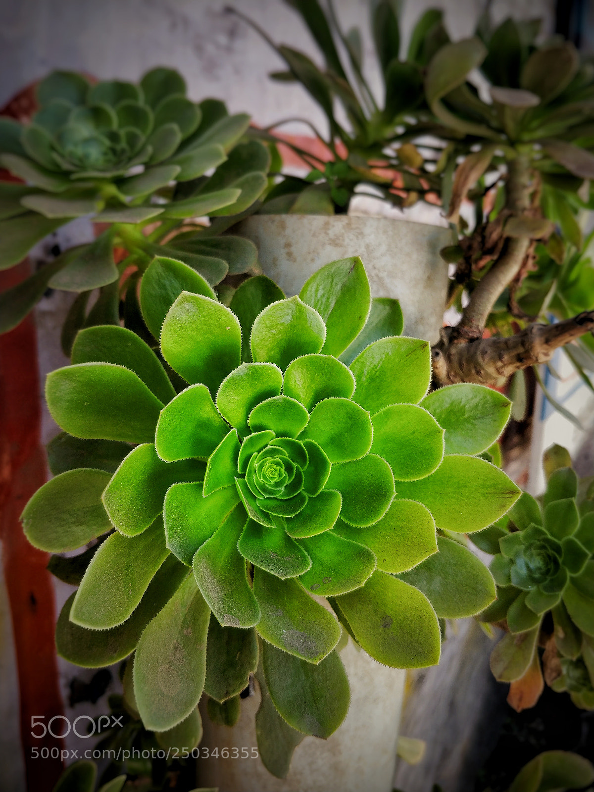 OnePlus 5T sample photo. Untitled photography