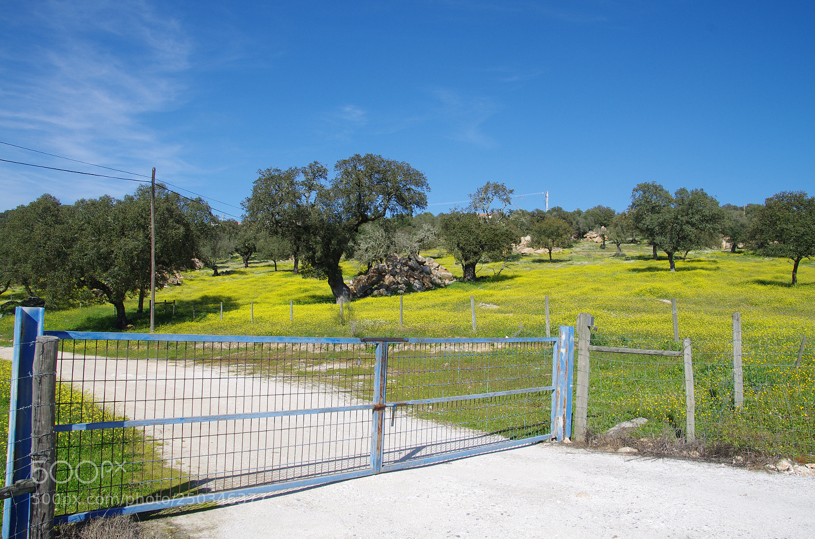 Pentax K-5 sample photo. Spring in portugal photography