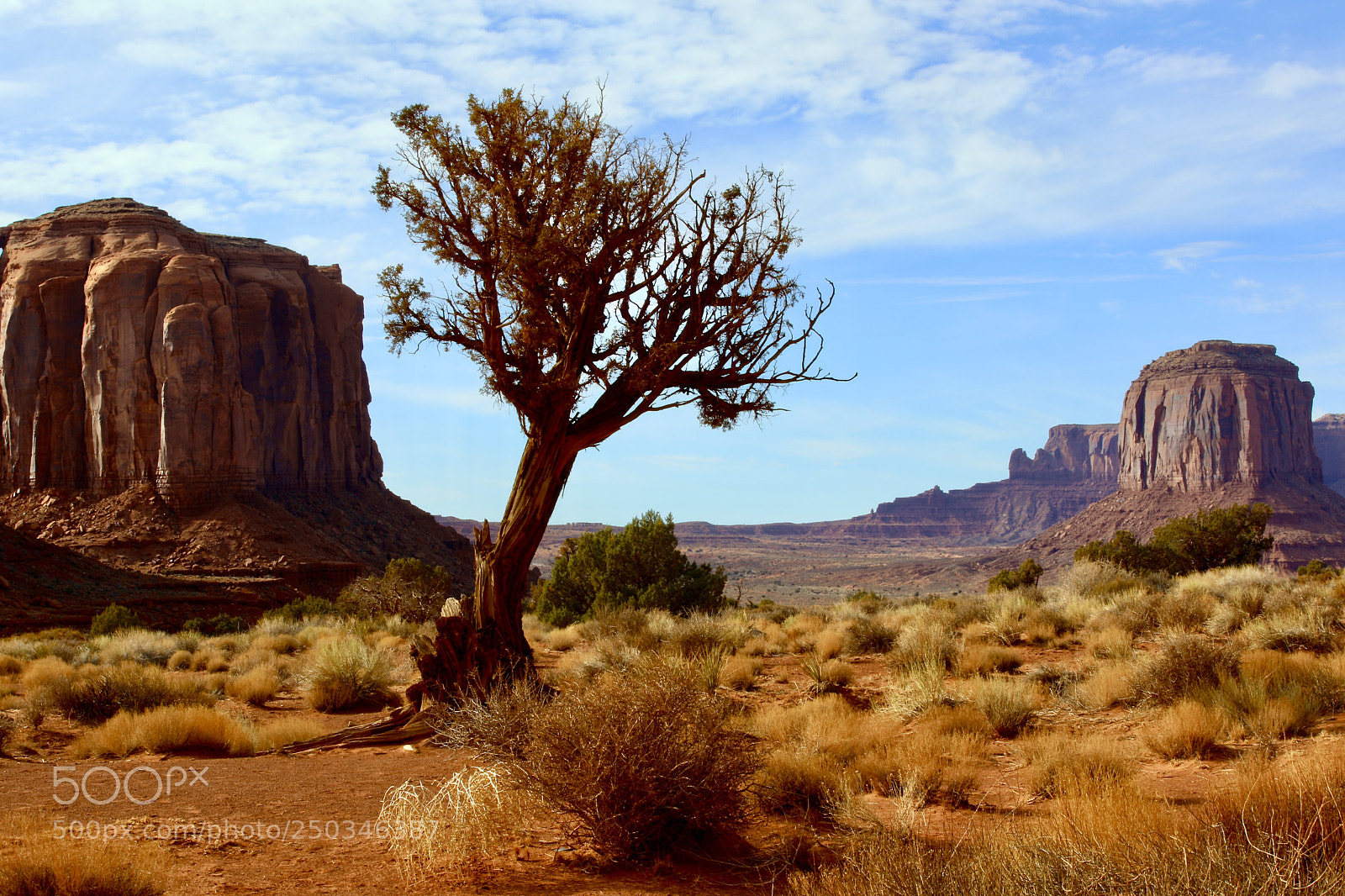 Canon EOS 5D Mark IV sample photo. Tree and buttes photography