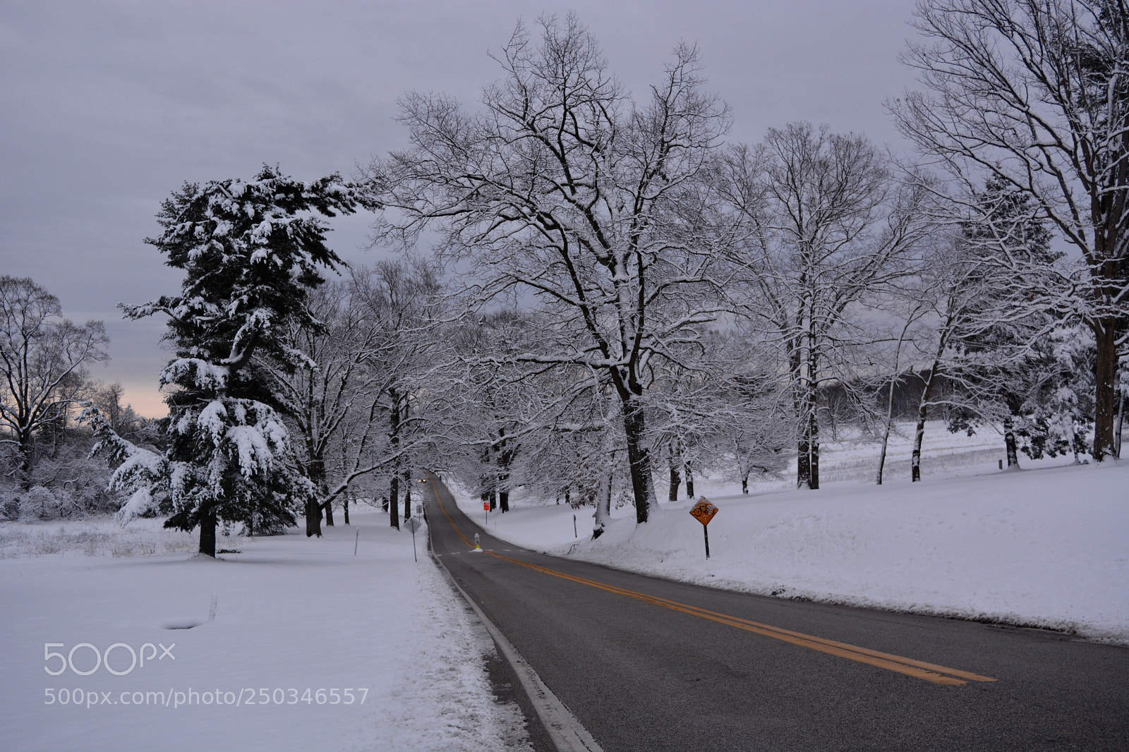 Nikon D7100 sample photo. Untitled photography