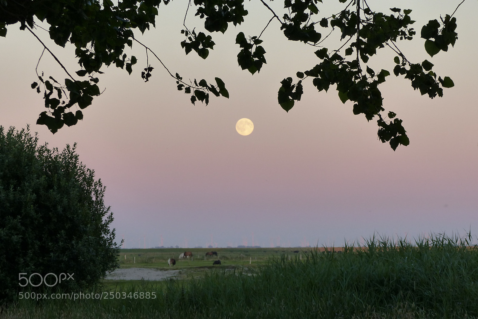 Panasonic Lumix DMC-FZ200 sample photo. Vollmond auf norderney photography