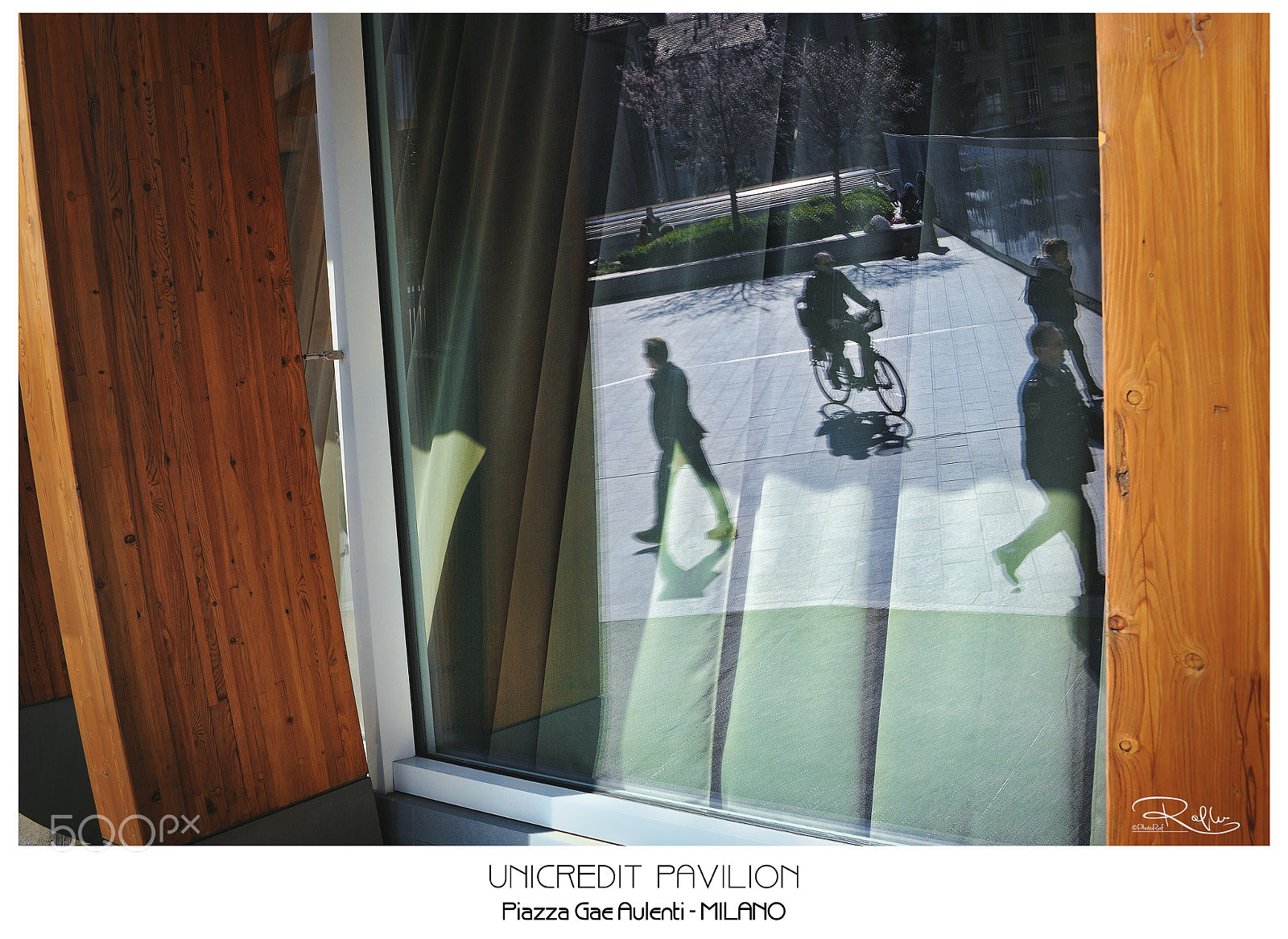 Nikon D3 sample photo. Untitled photography