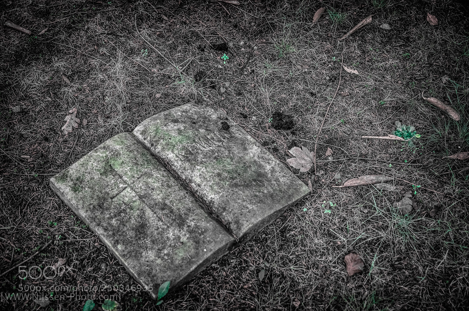 Nikon D90 sample photo. Das alte graben photography