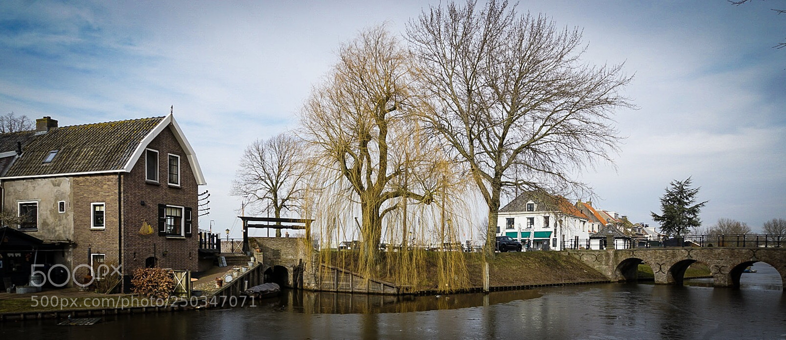Sony ILCA-77M2 sample photo. Elburg photography
